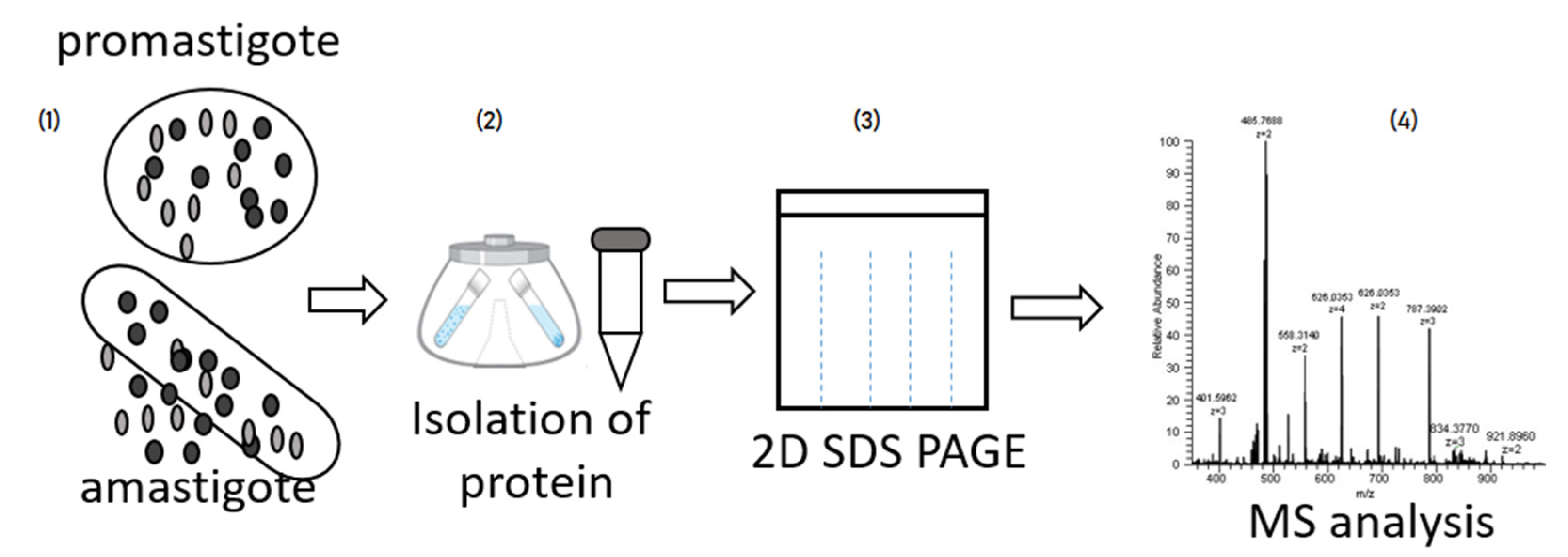 Pathogens 12 00039 g003