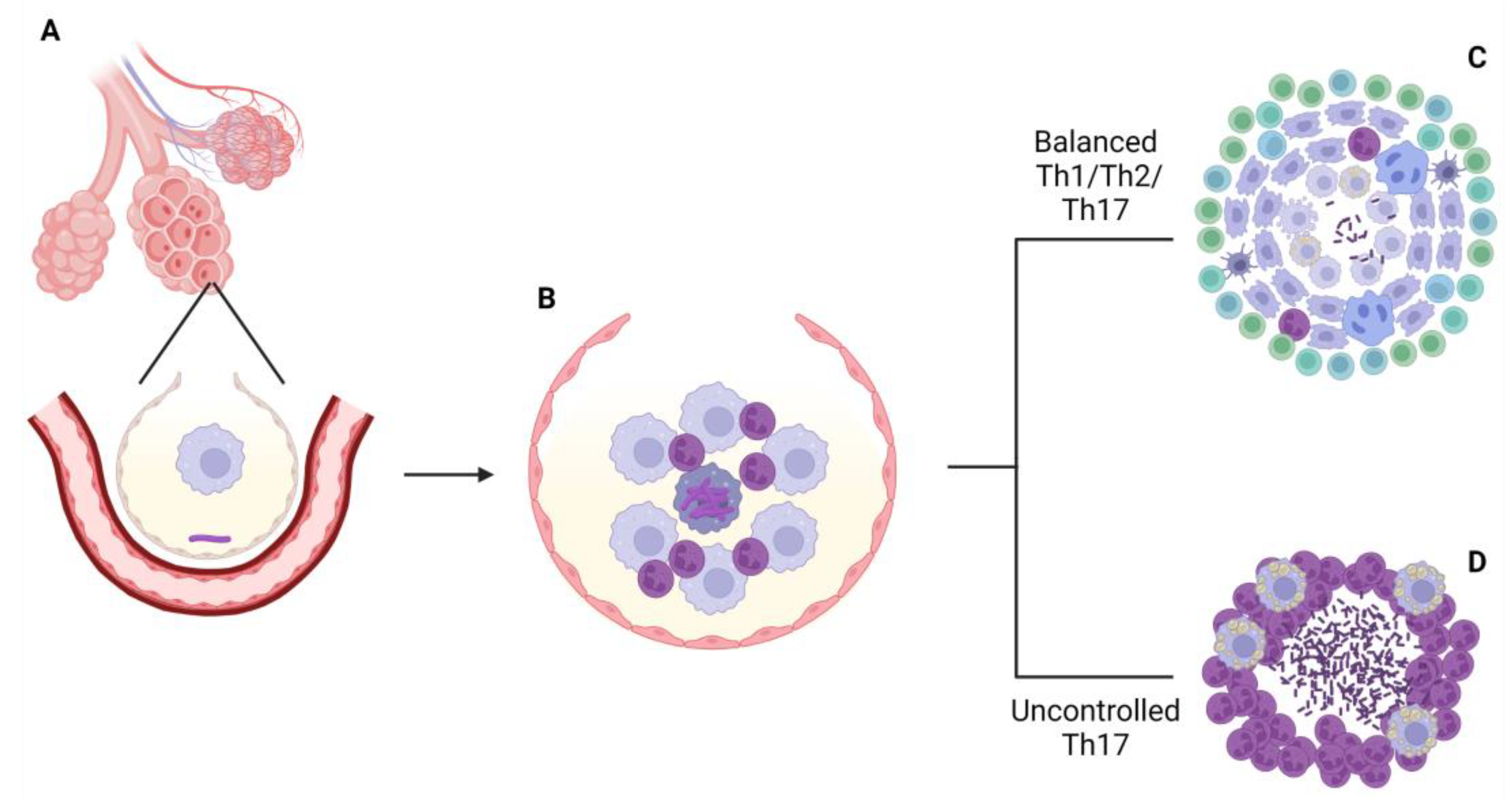 Pathogens 12 00049 g001