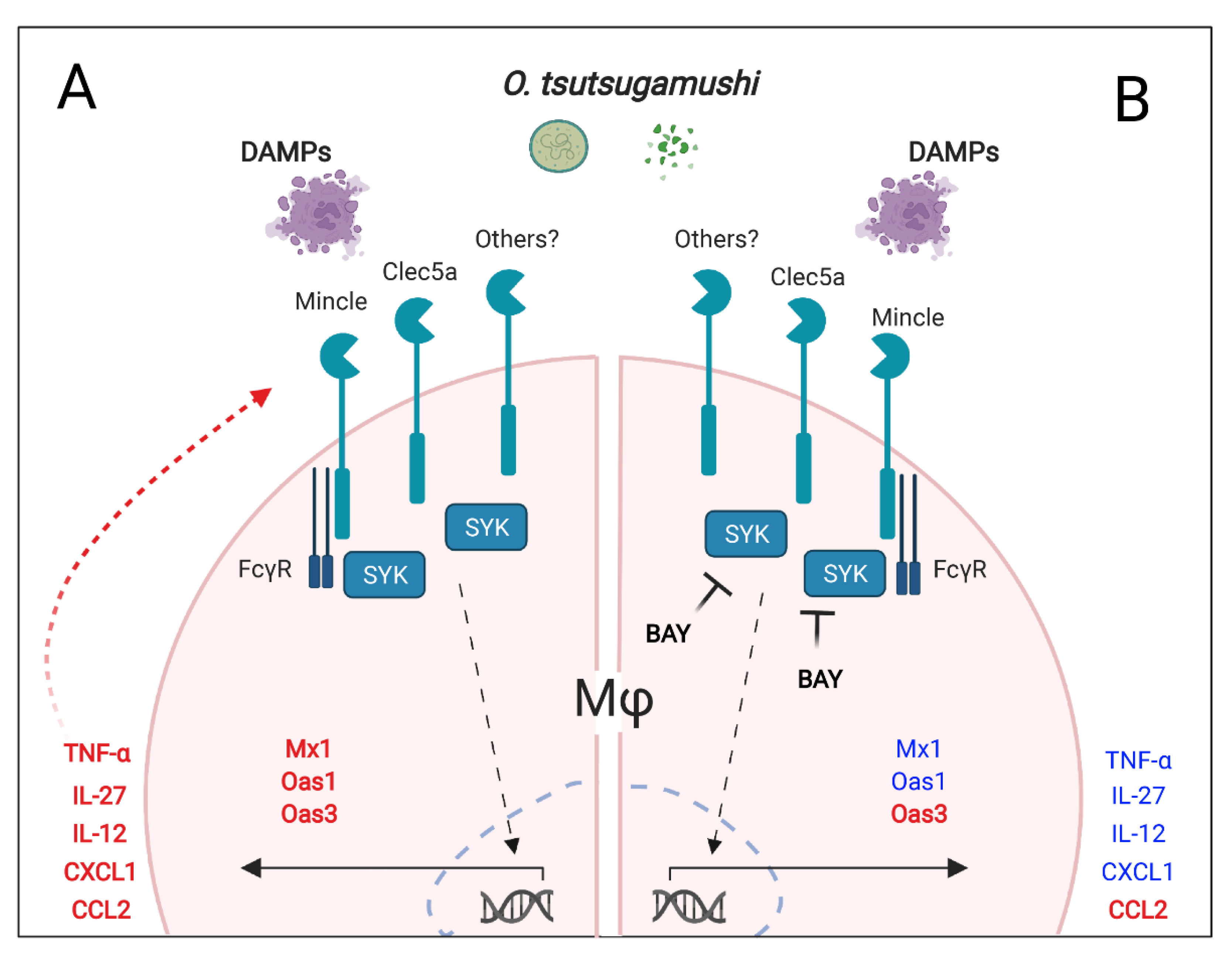 Pathogens 12 00053 g006