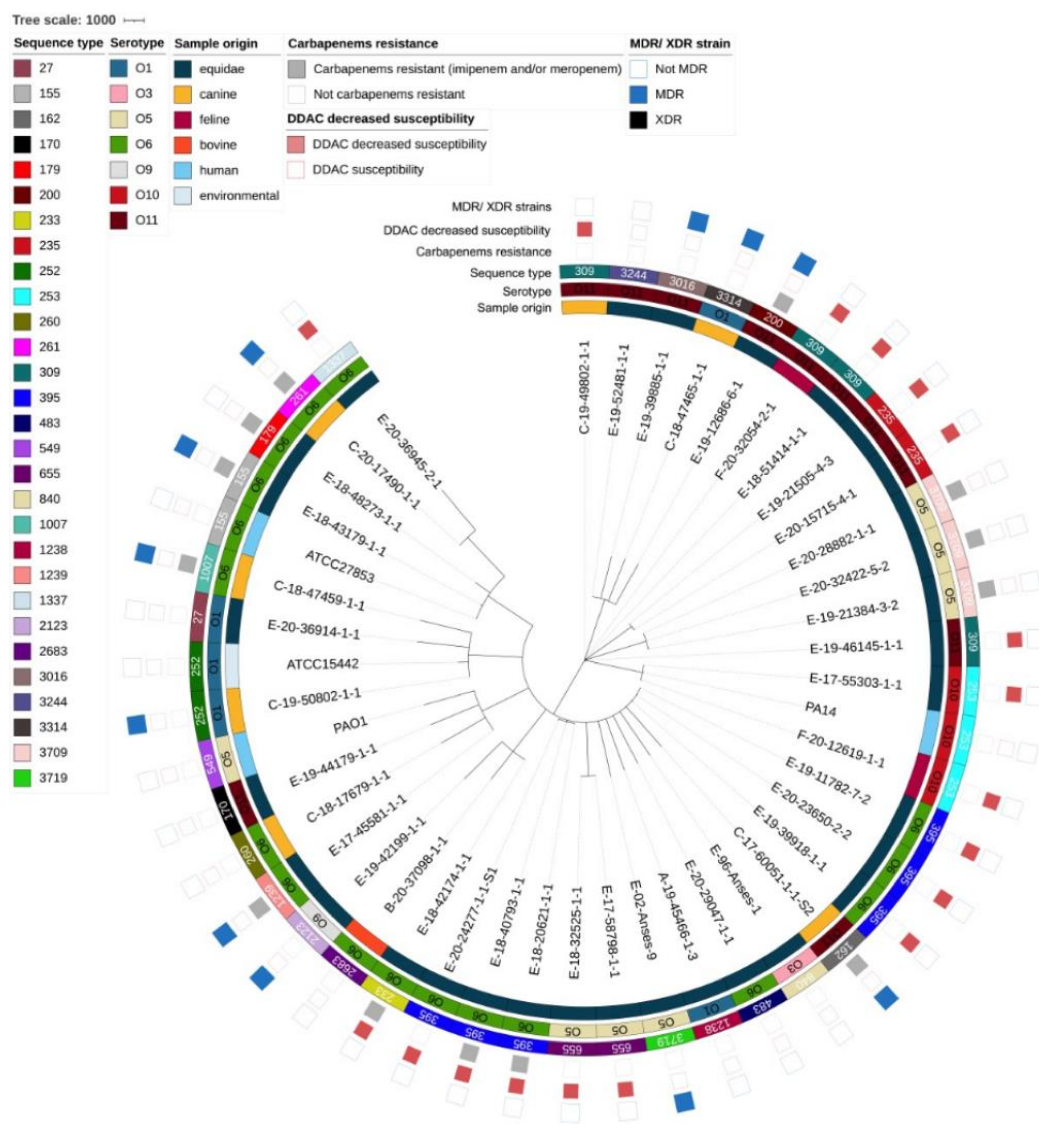 Pathogens 12 00064 g005 Pathogens 12 00064 g005