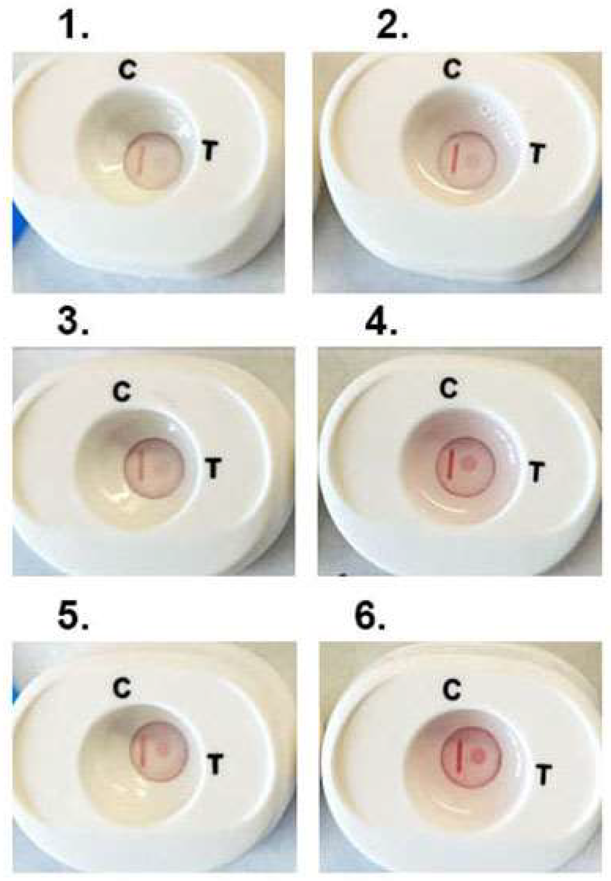 Pathogens 12 00077 g005