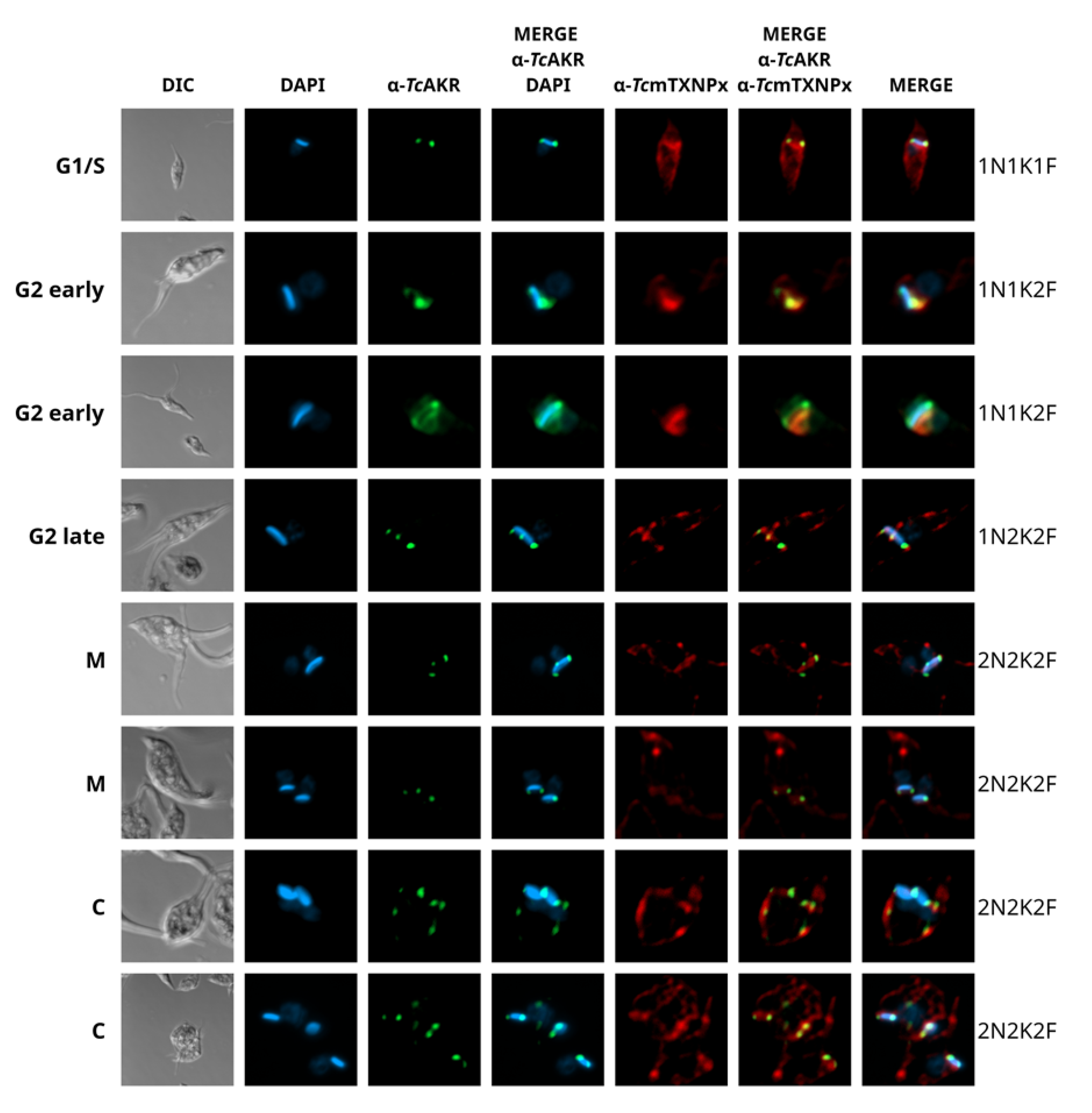 Pathogens 12 00085 g003 Pathogens 12 00085 g003