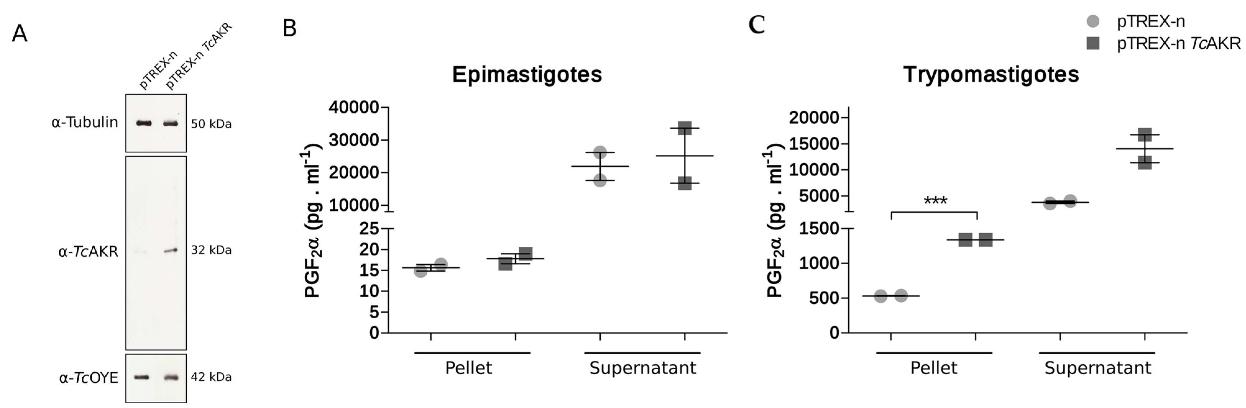 Pathogens 12 00085 g004 Pathogens 12 00085 g004
