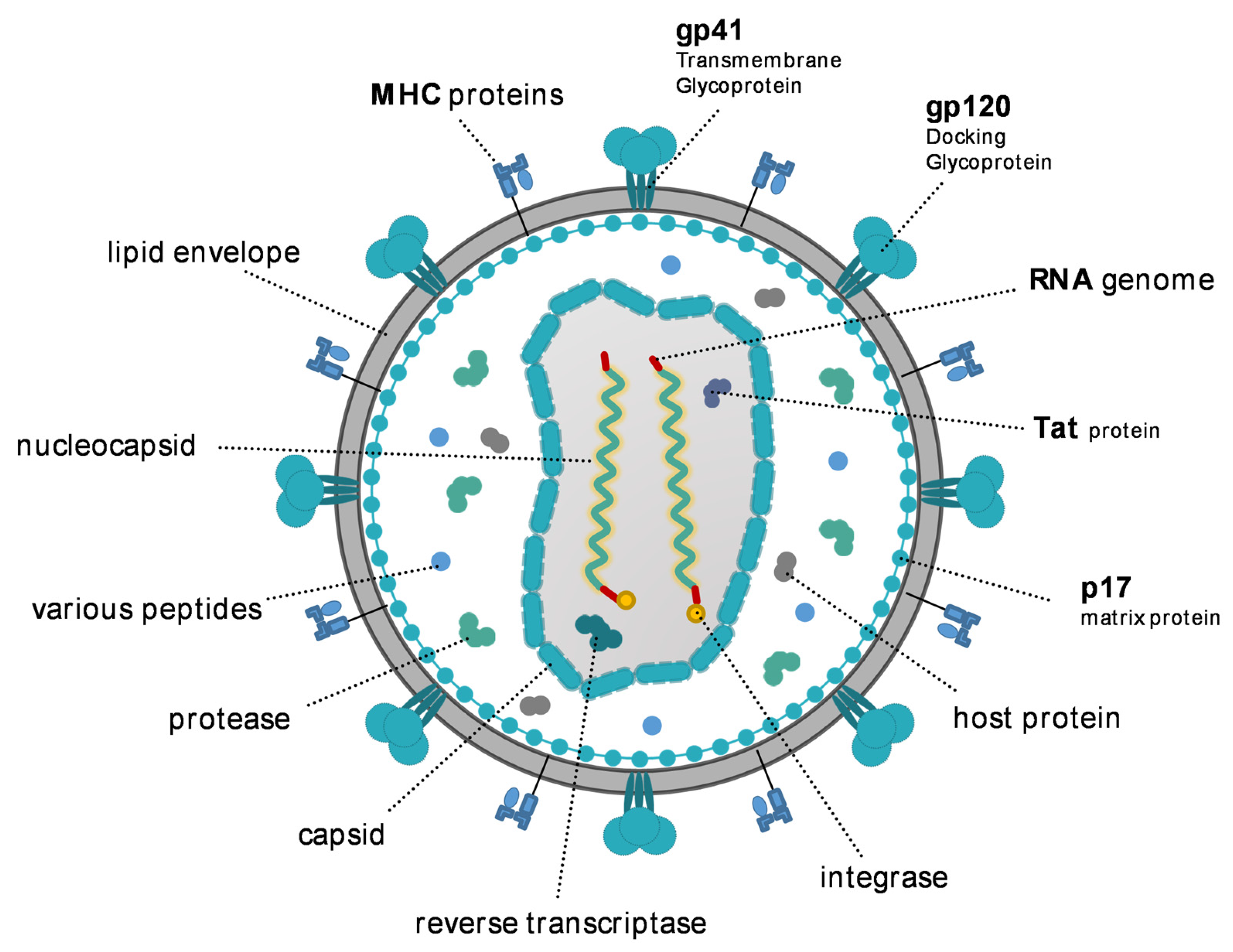 Pathogens 12 00092 g001