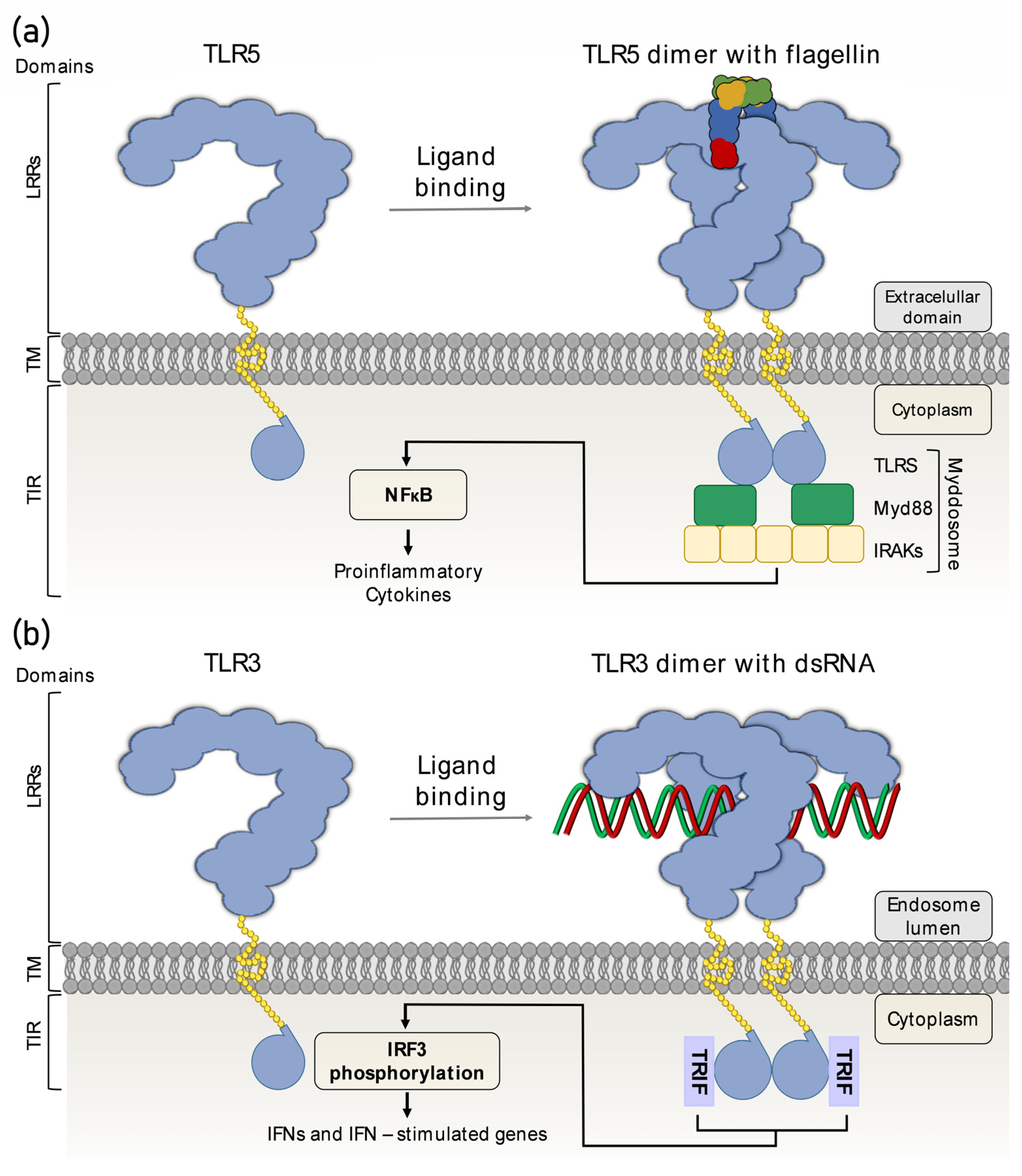 Pathogens 12 00092 g003