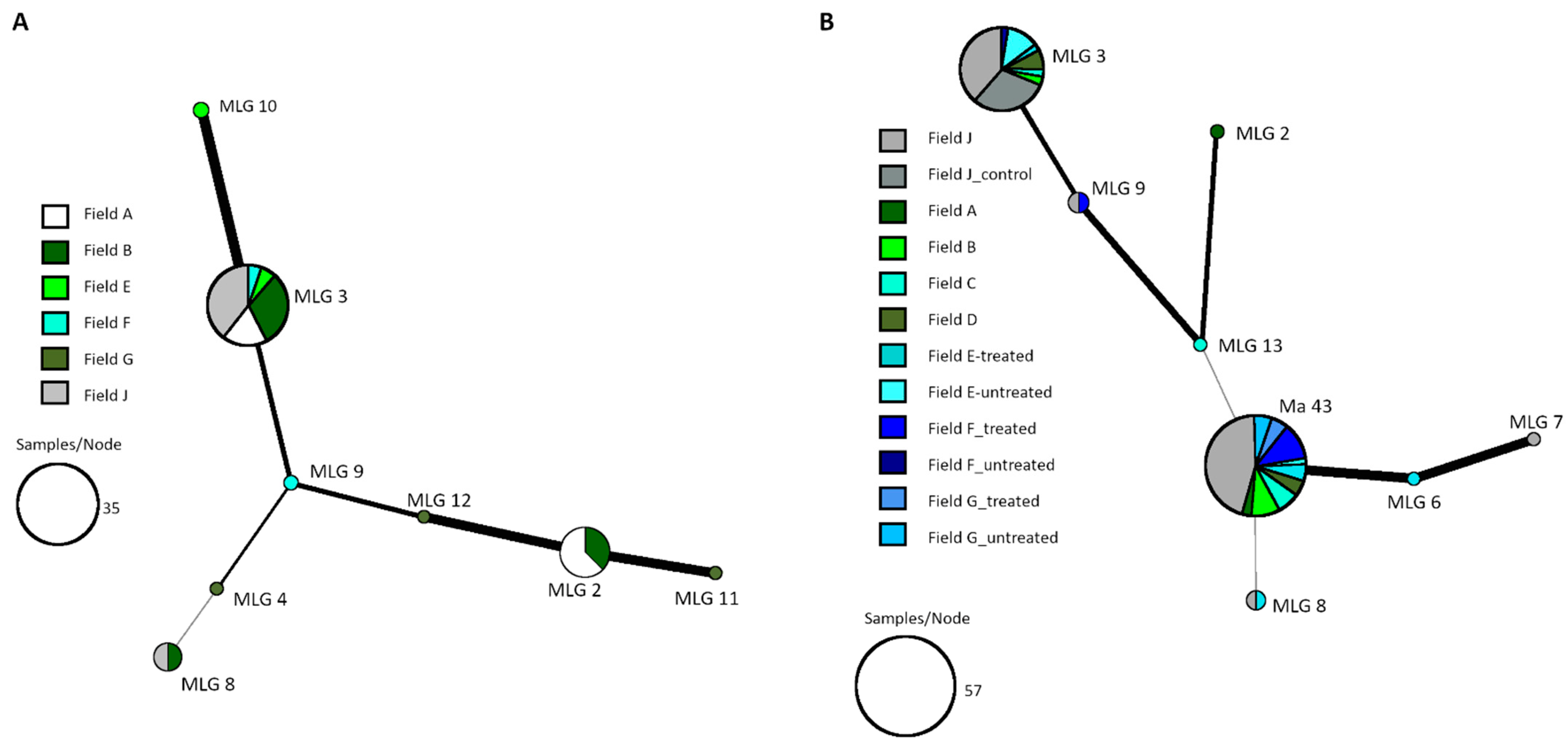 Pathogens 12 00099 g004