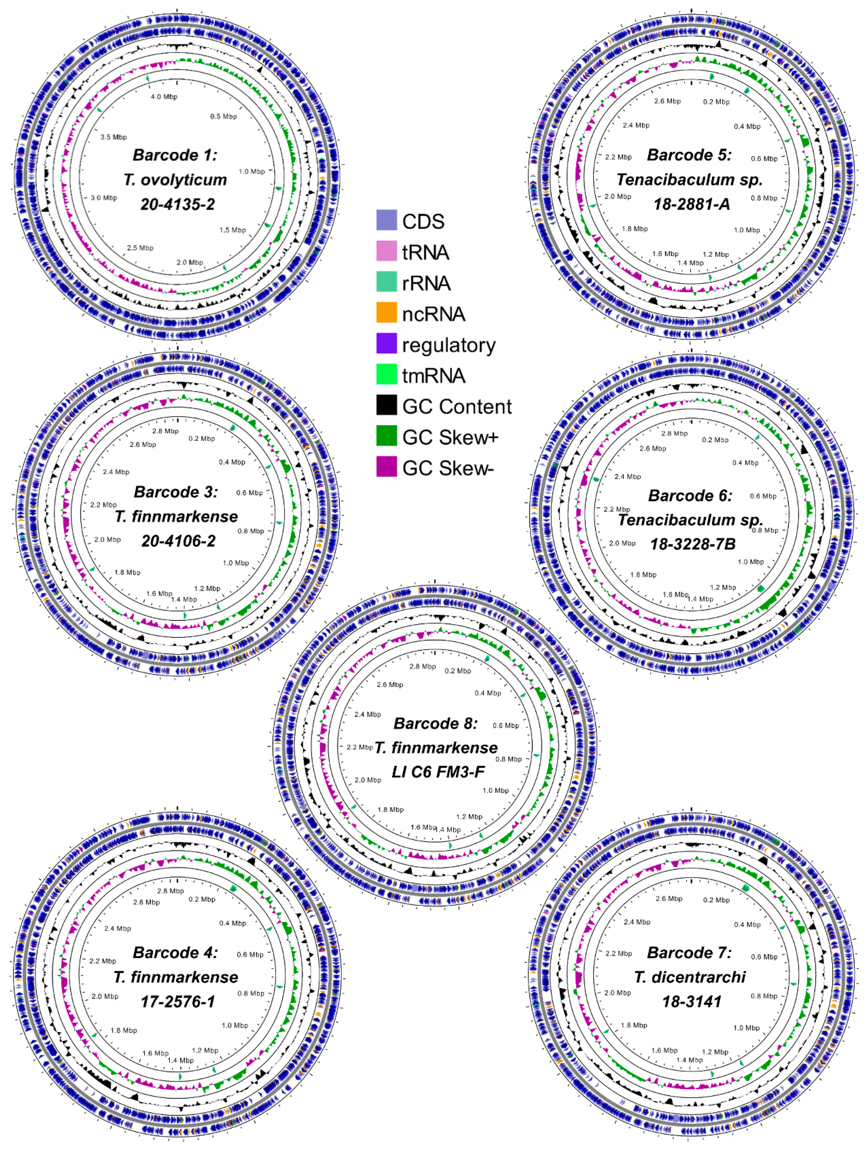 Pathogens 12 00101 g001