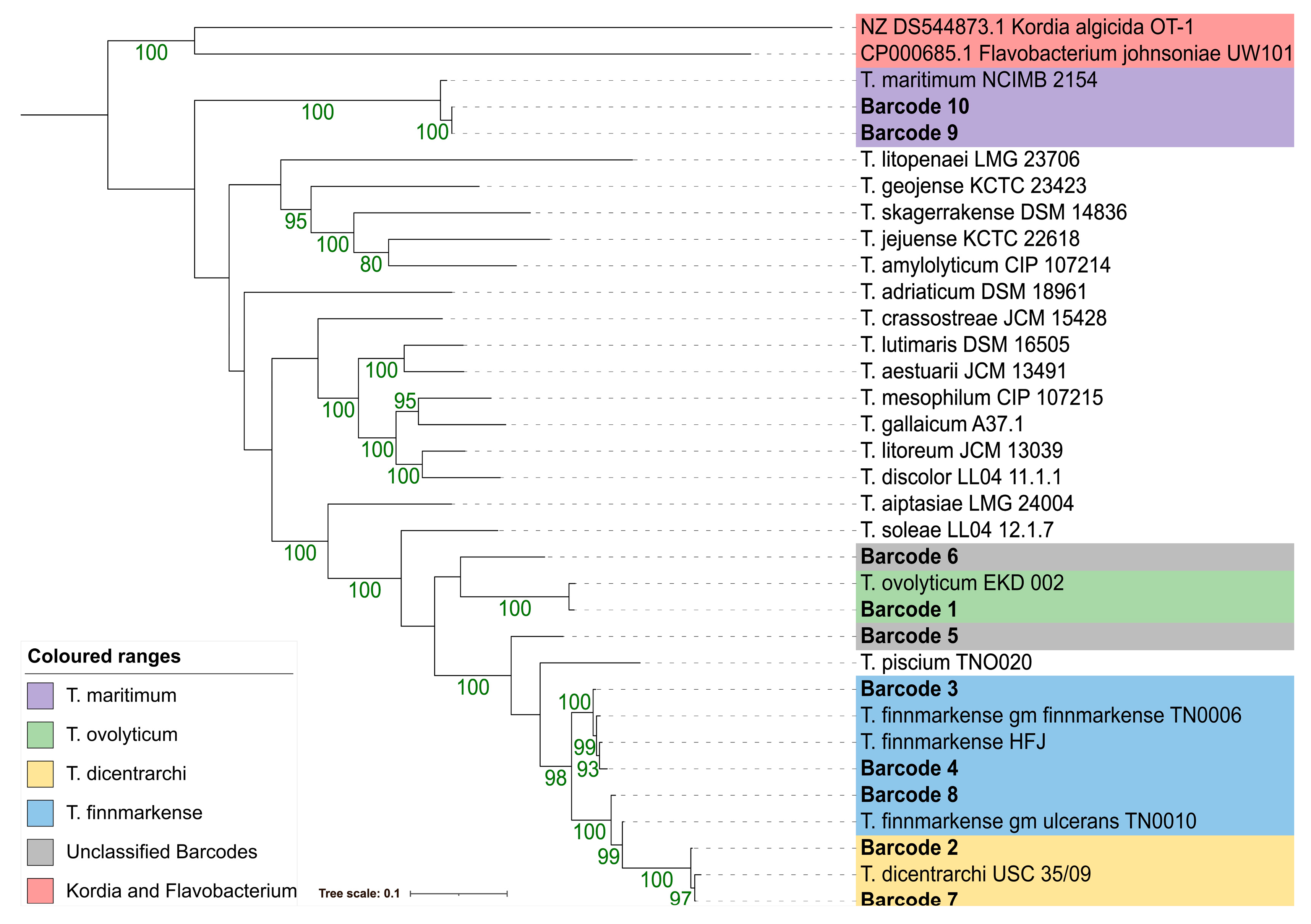 Pathogens 12 00101 g002
