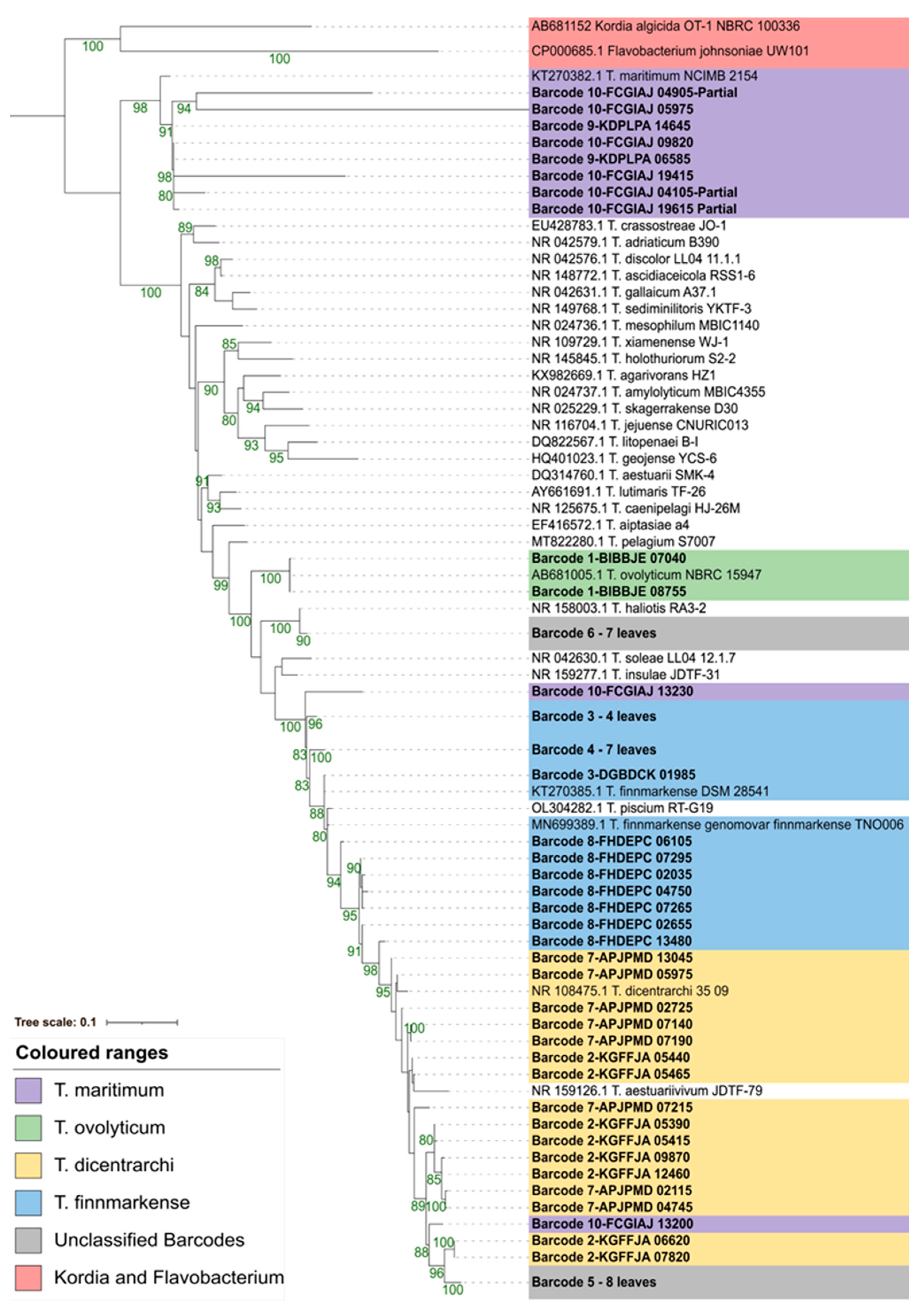 Pathogens 12 00101 g004