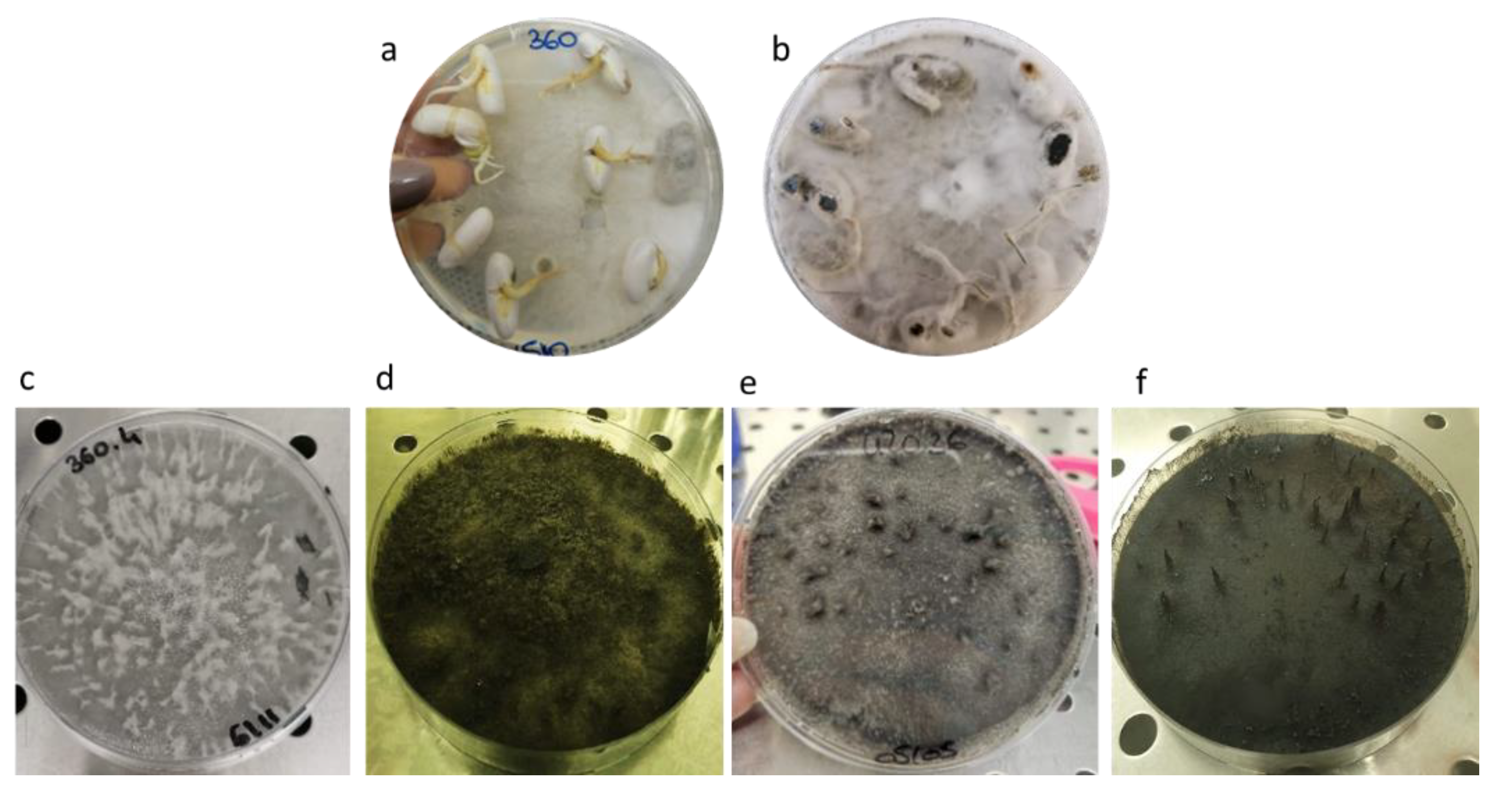 Pathogens 12 00108 g001