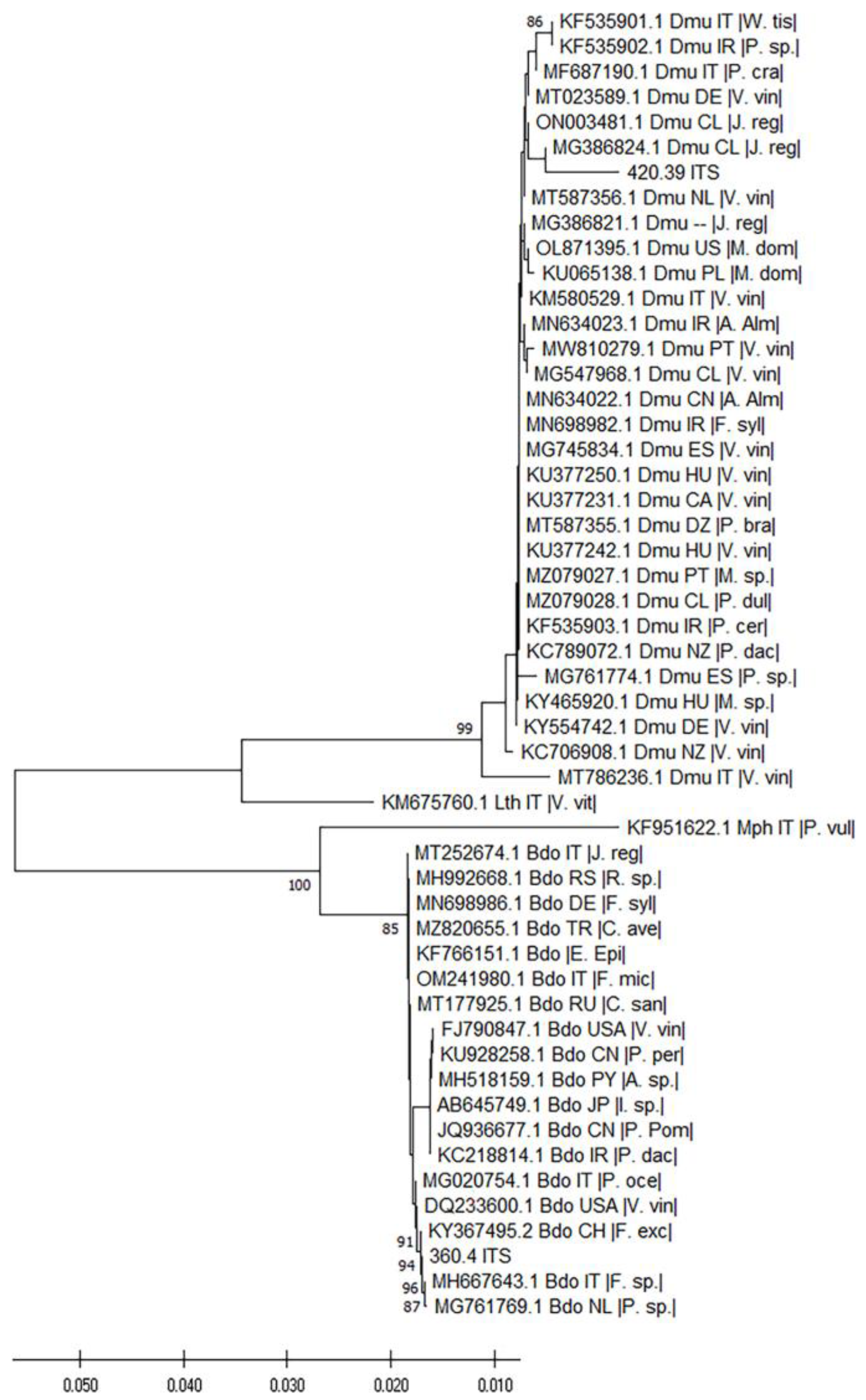 Pathogens 12 00108 g003