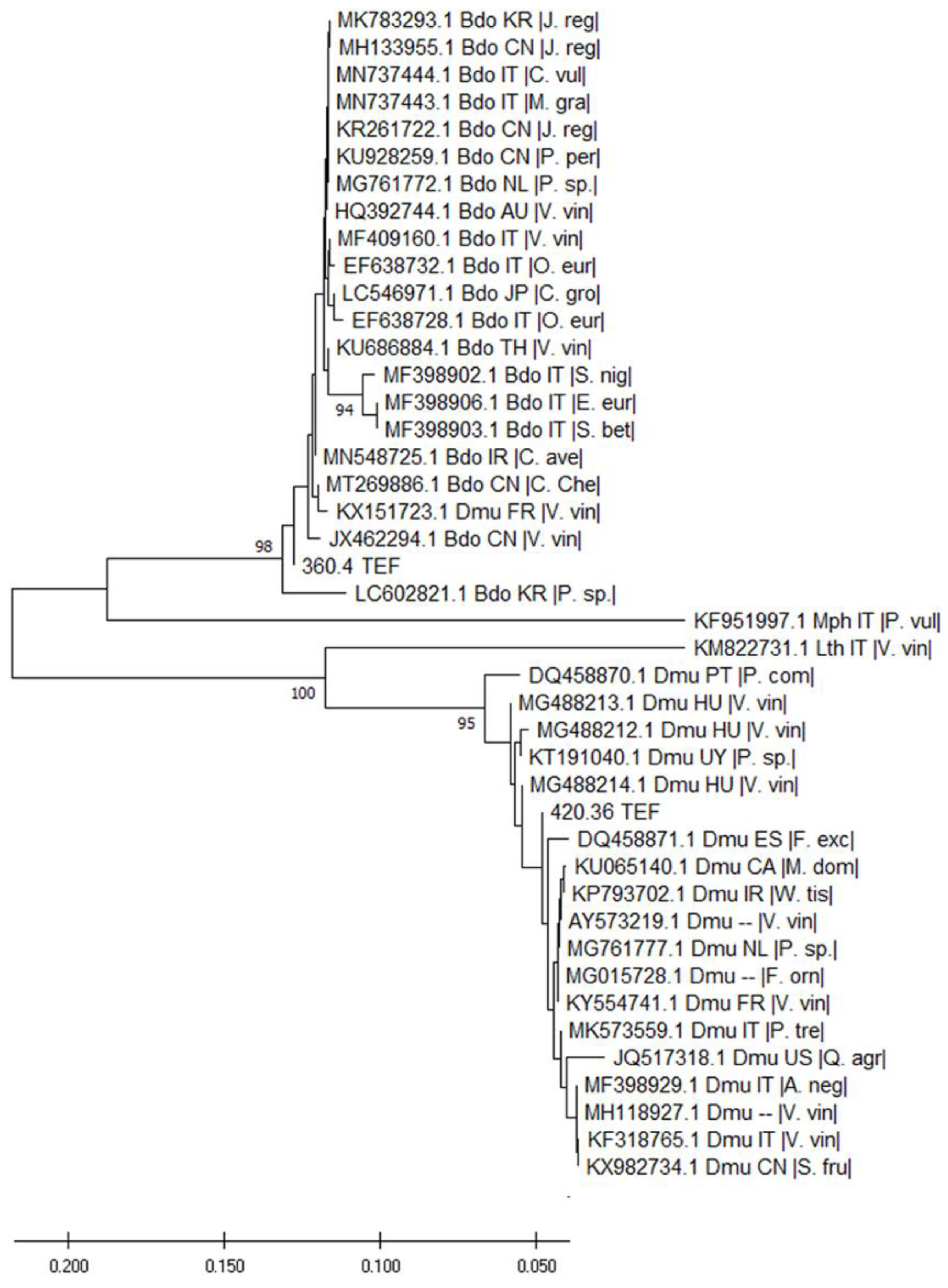 Pathogens 12 00108 g004