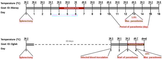 Pathogens 12 00113 g001