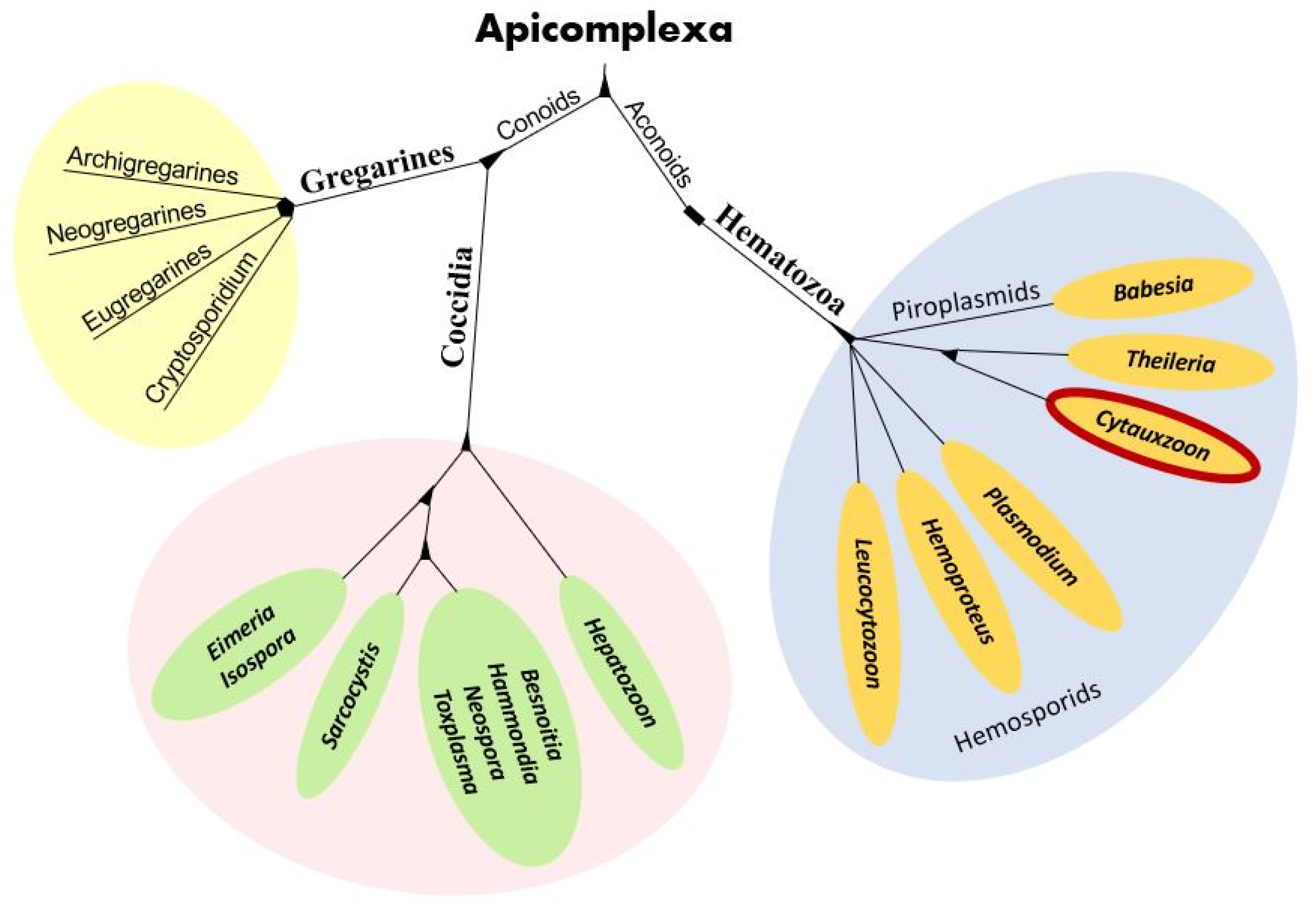 Pathogens 12 00133 g001