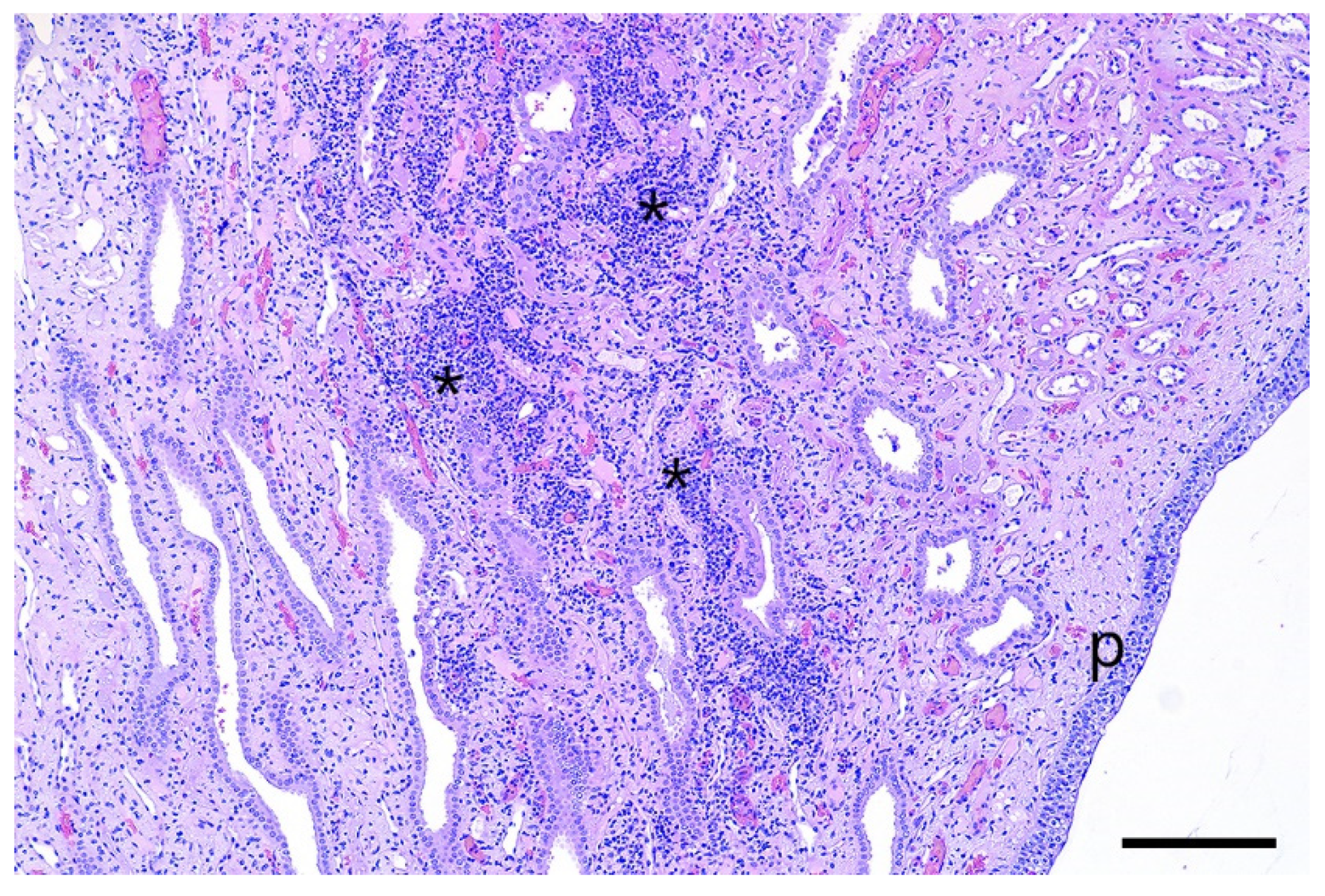 Pathogens 12 00135 g005