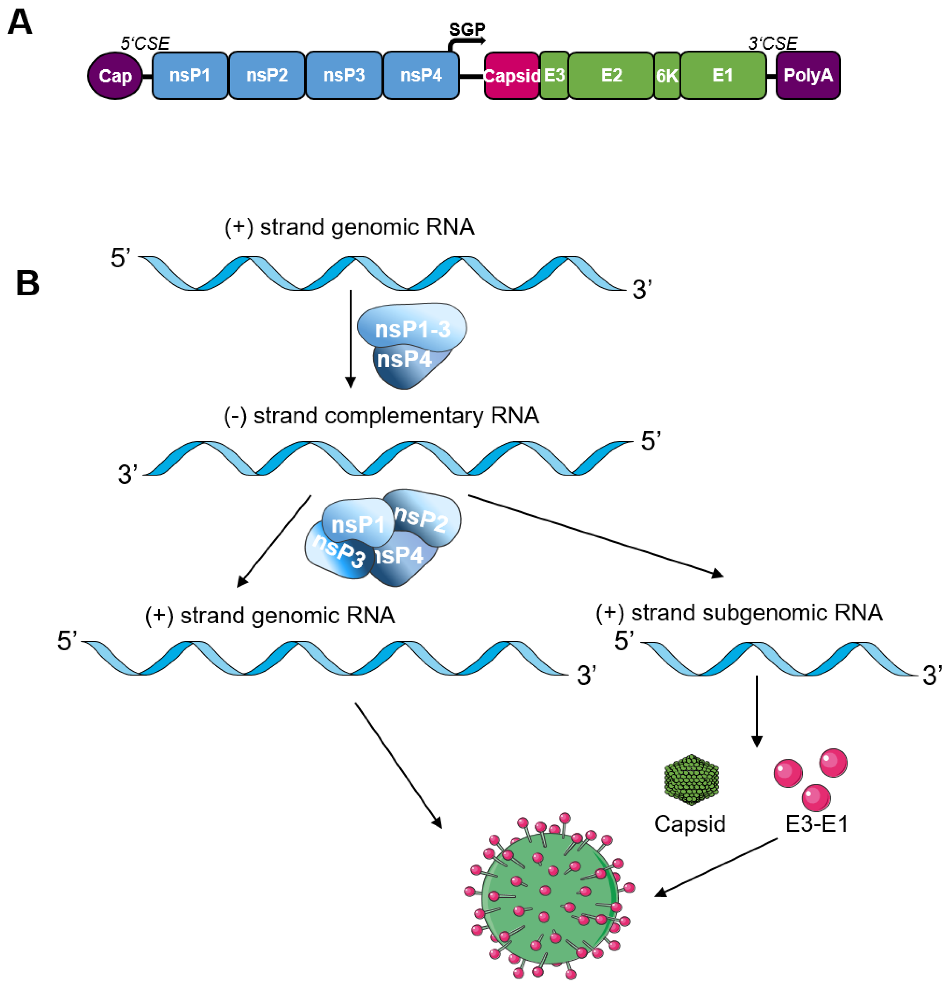 Pathogens 12 00138 g002 Pathogens 12 00138 g002