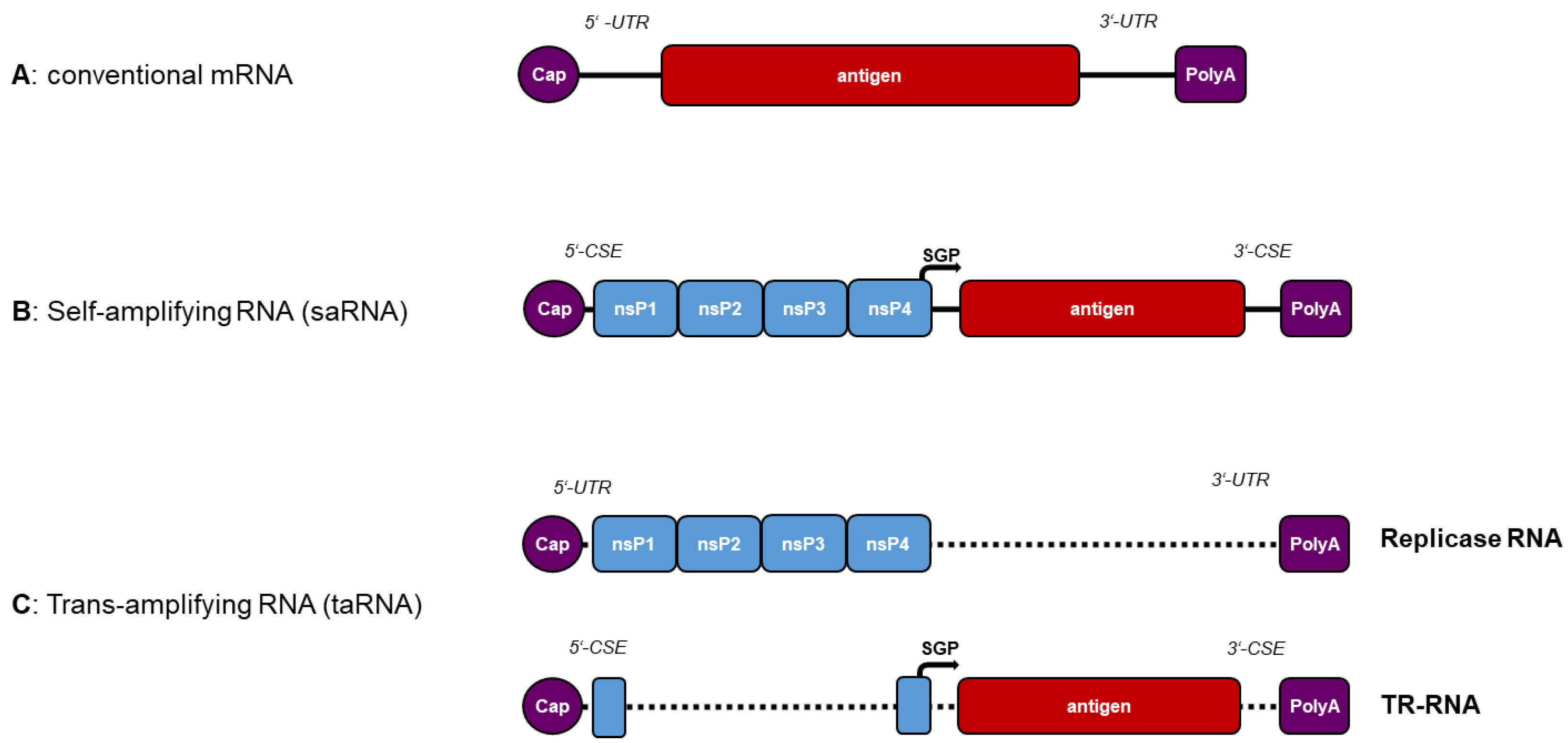 Pathogens 12 00138 g003 Pathogens 12 00138 g003