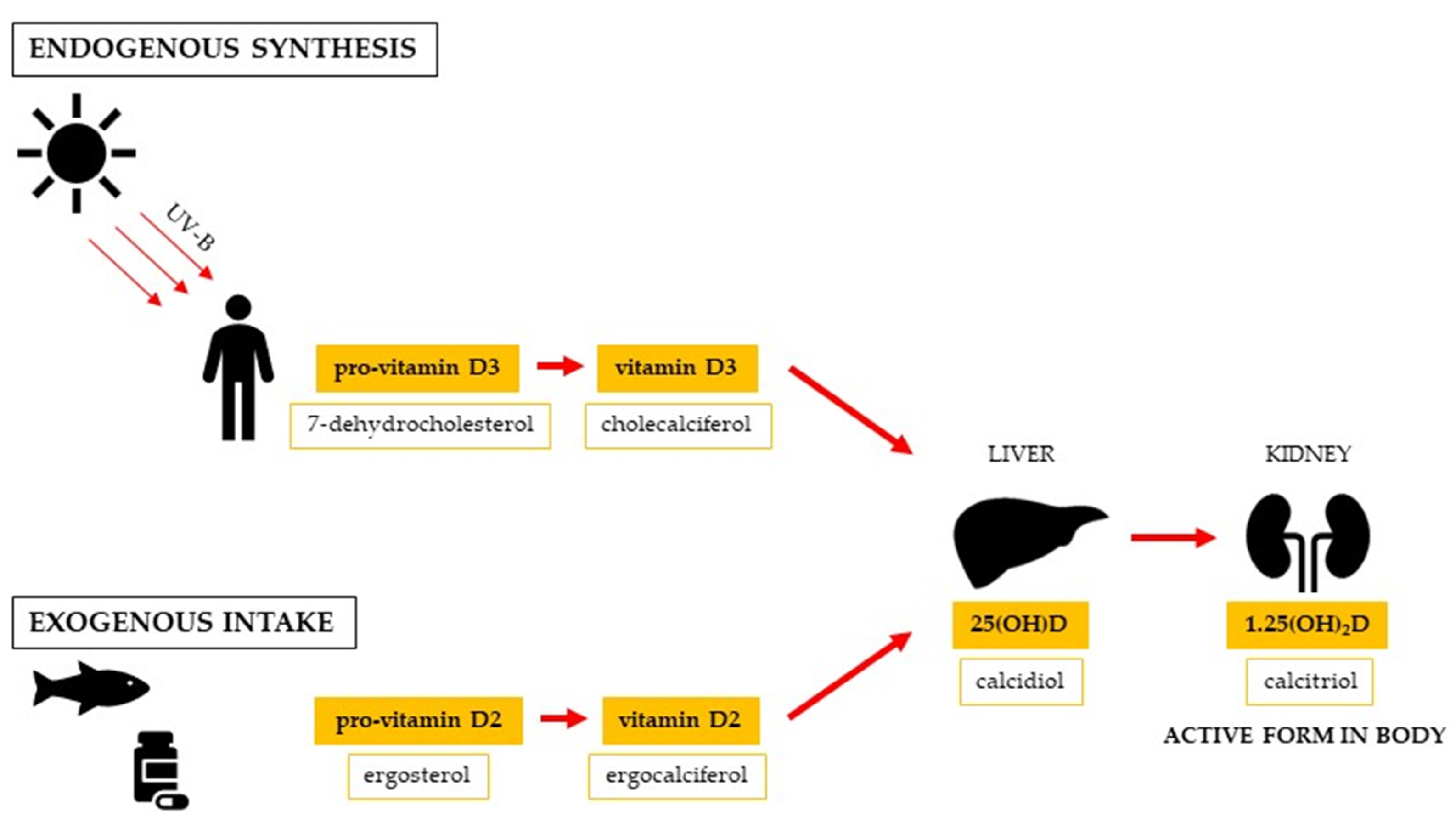 Pathogens 12 00145 g001