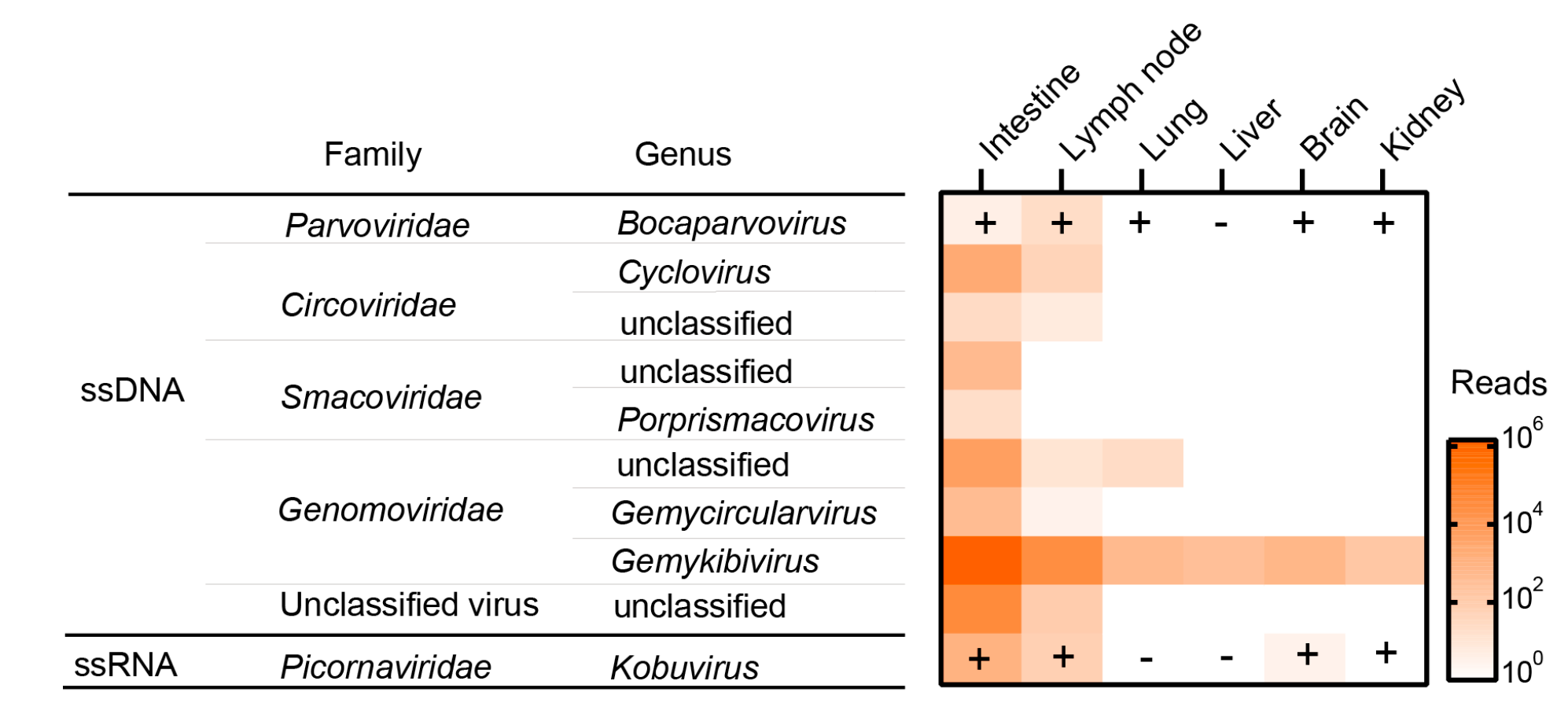 Pathogens 12 00156 g001
