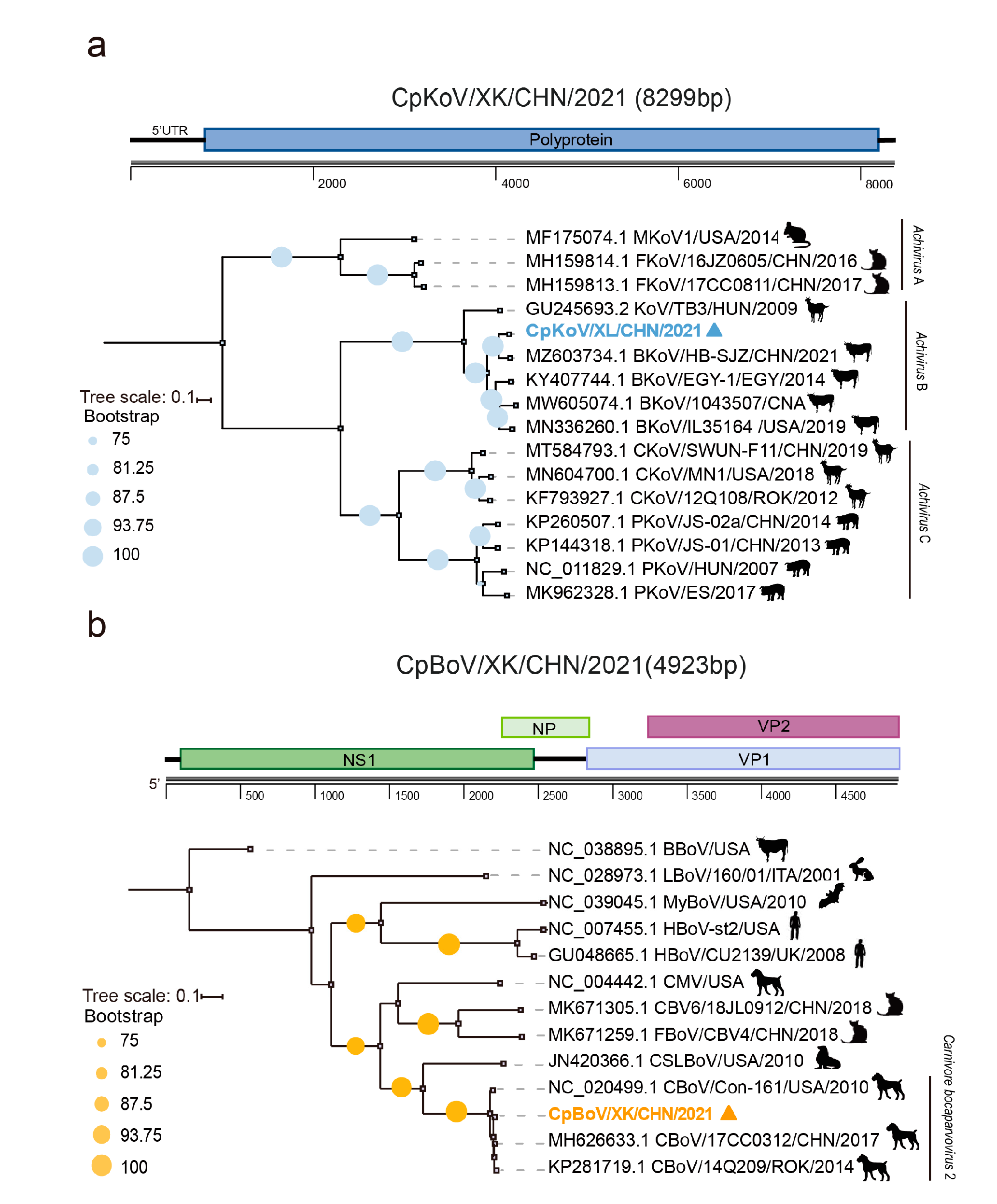 Pathogens 12 00156 g002