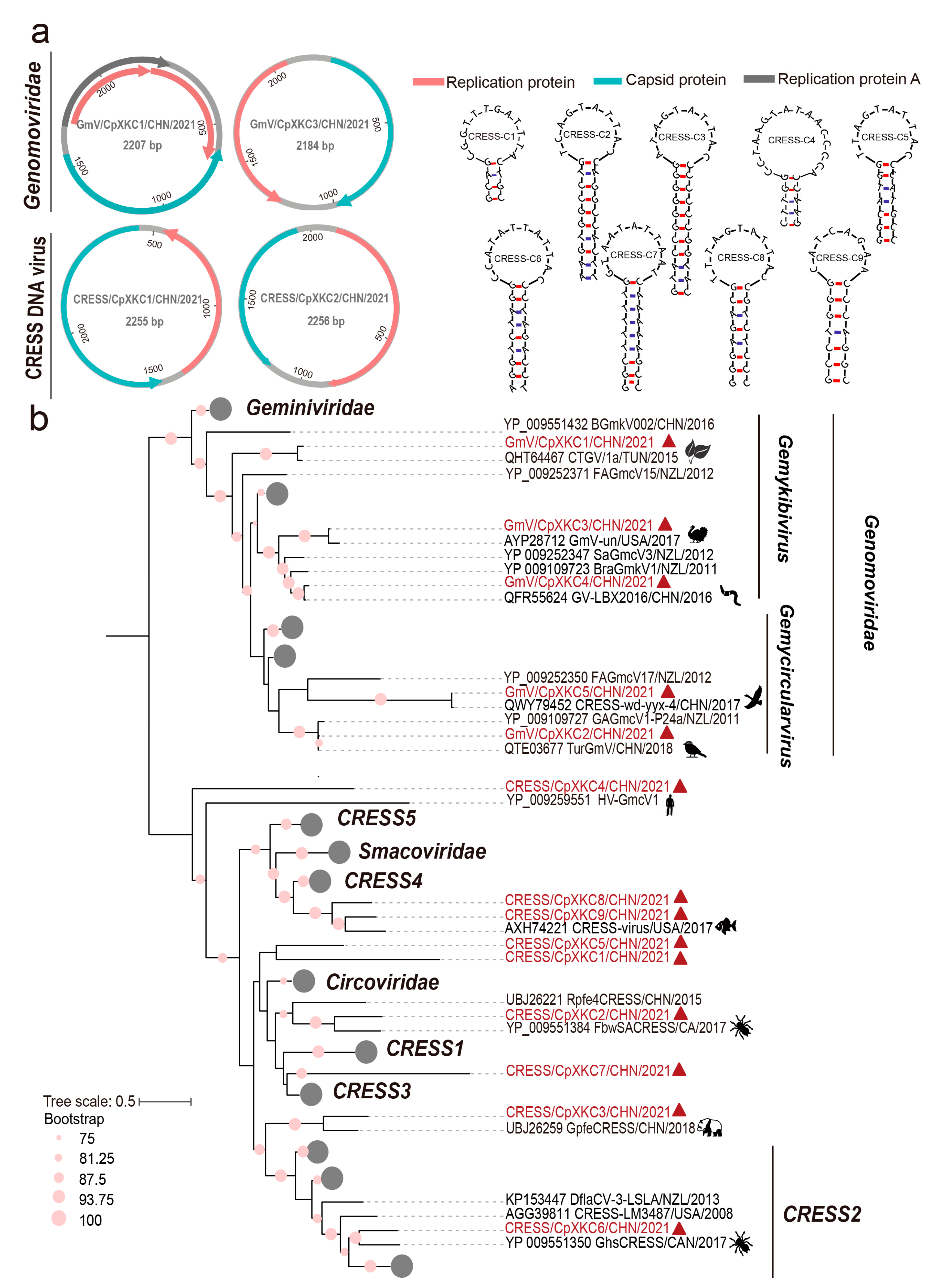 Pathogens 12 00156 g003