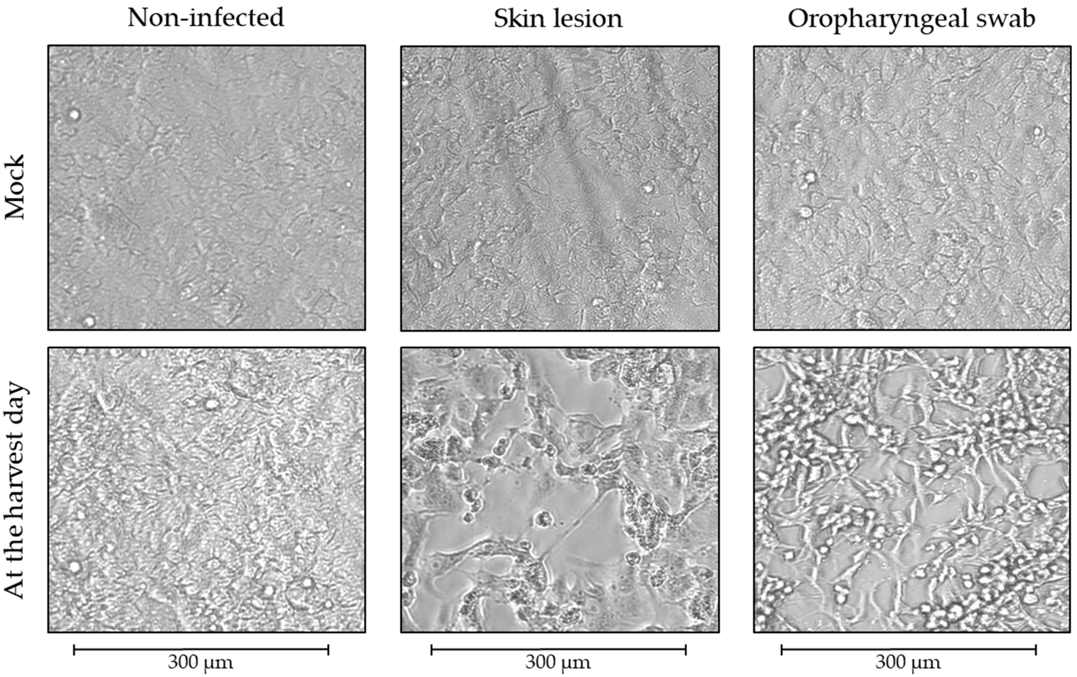 Pathogens 12 00159 g002