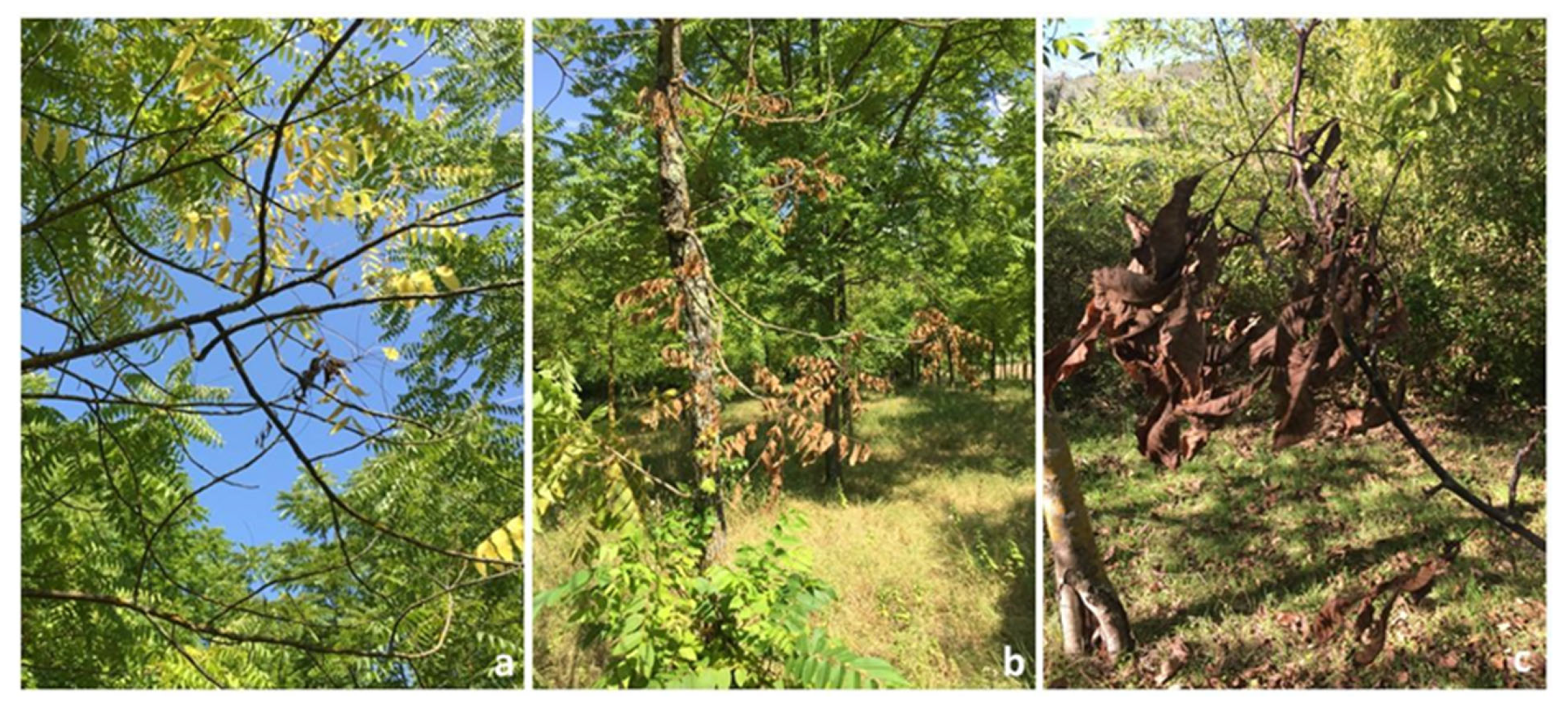 Pathogens 12 00164 g002