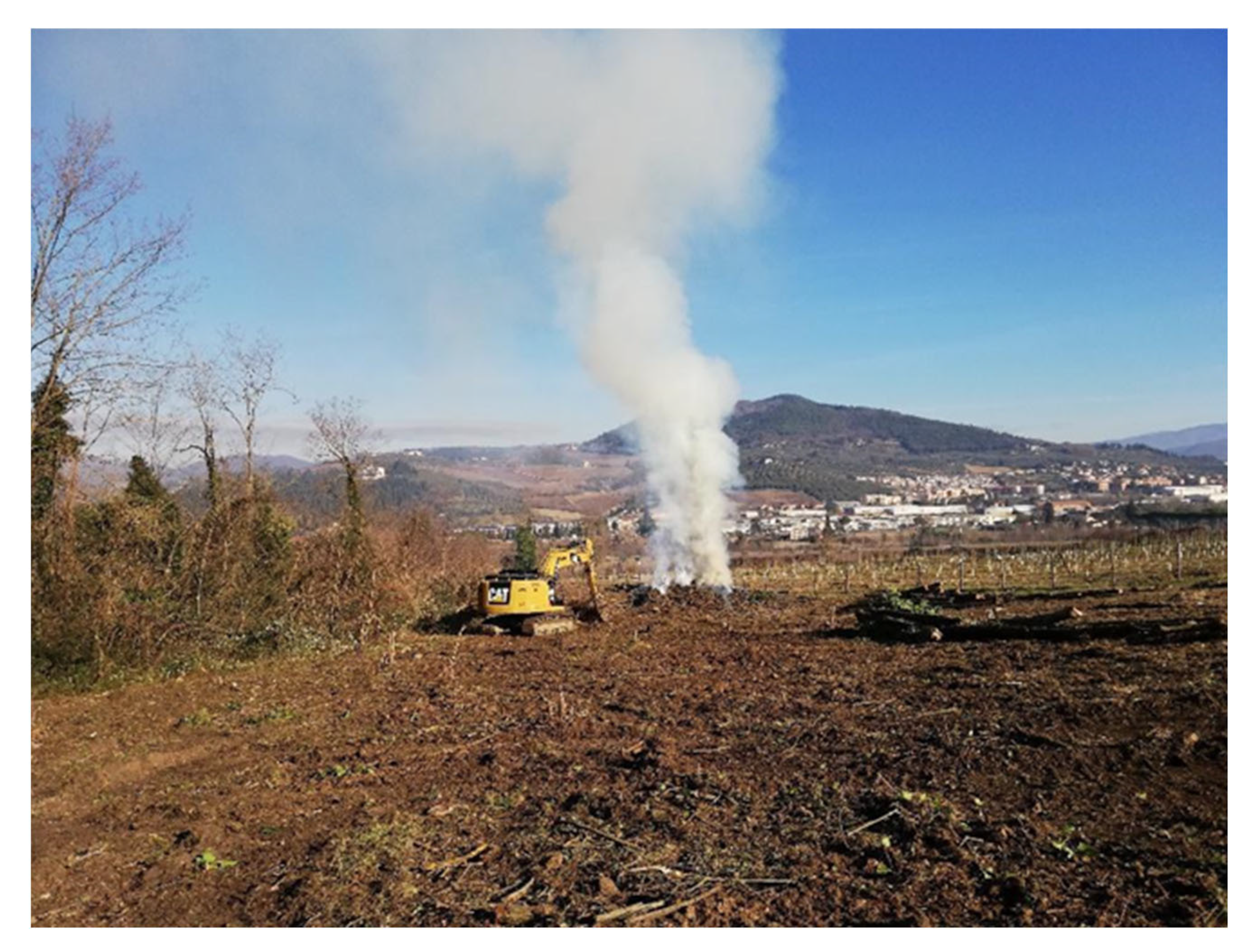 Pathogens 12 00164 g004