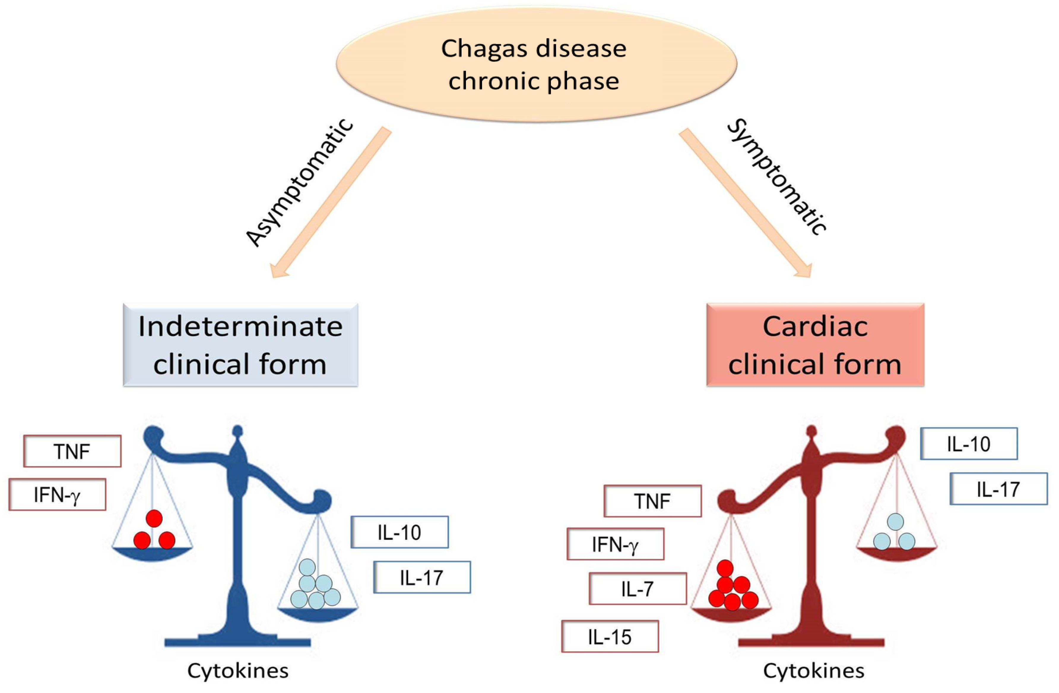 Pathogens 12 00171 g001