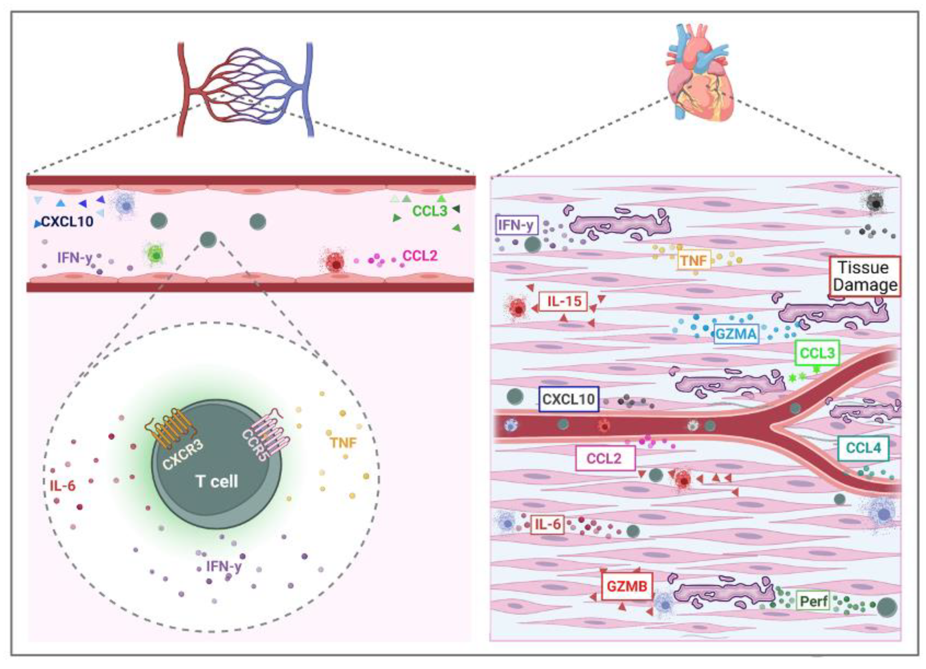 Pathogens 12 00171 g002
