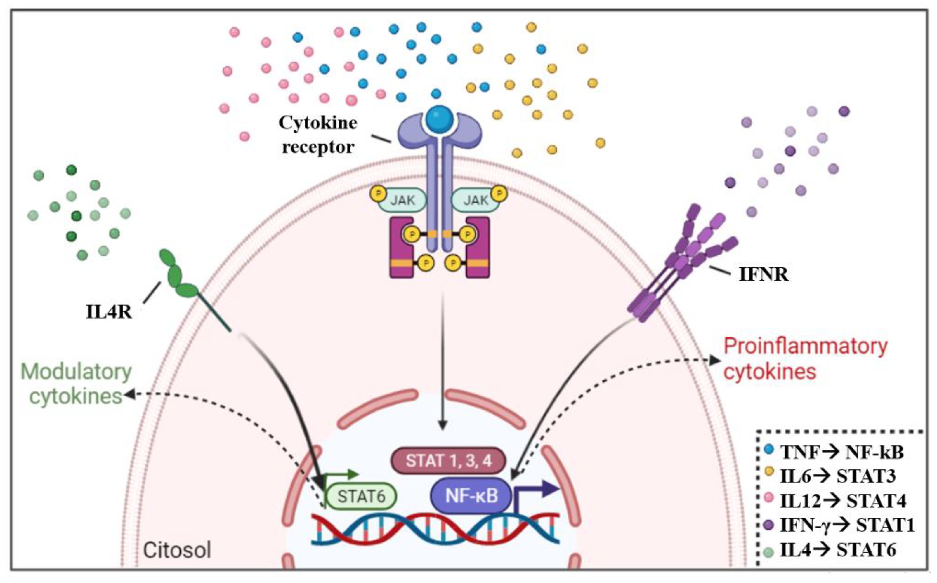 Pathogens 12 00171 g003