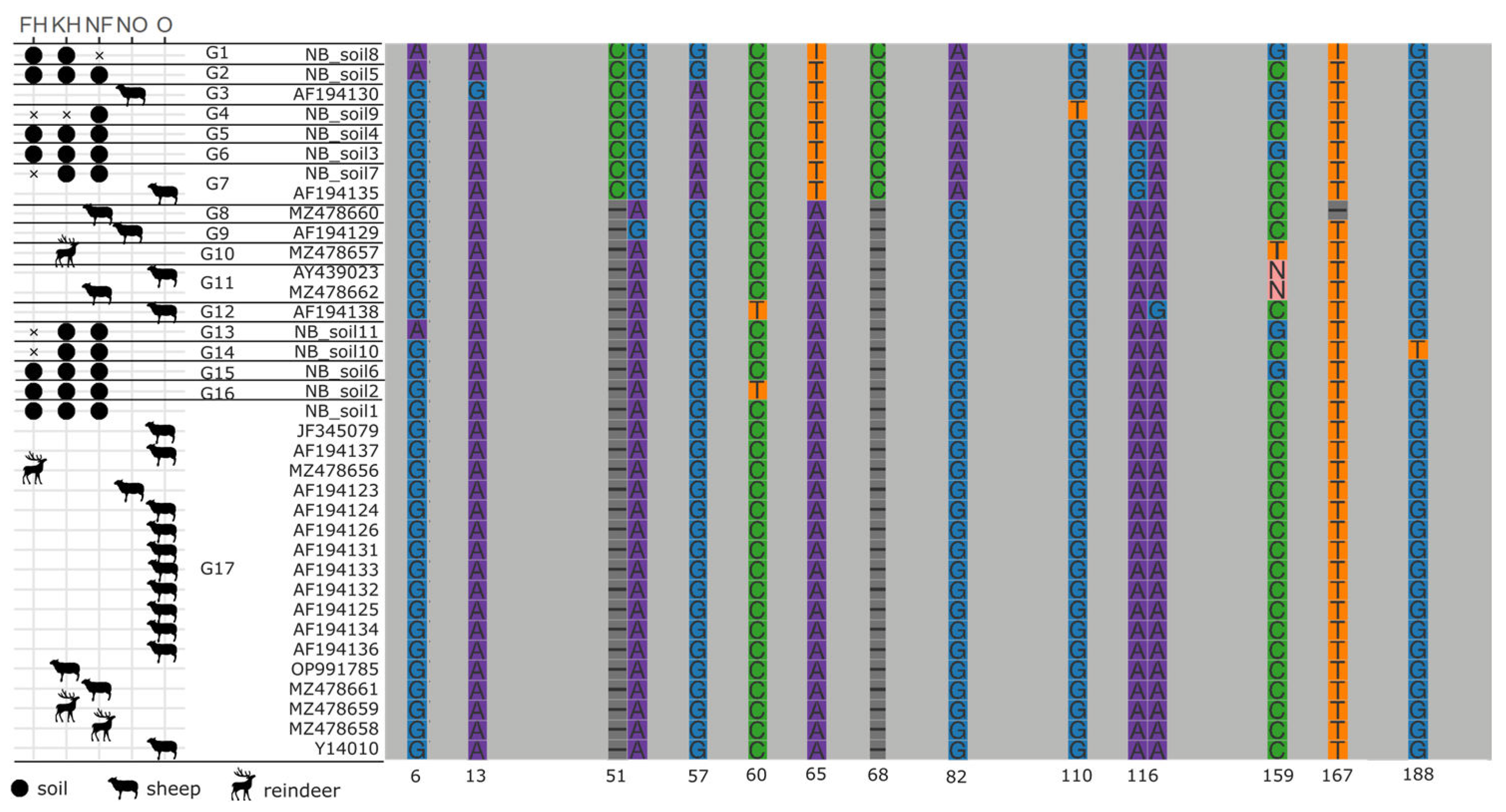 Pathogens 12 00186 g004