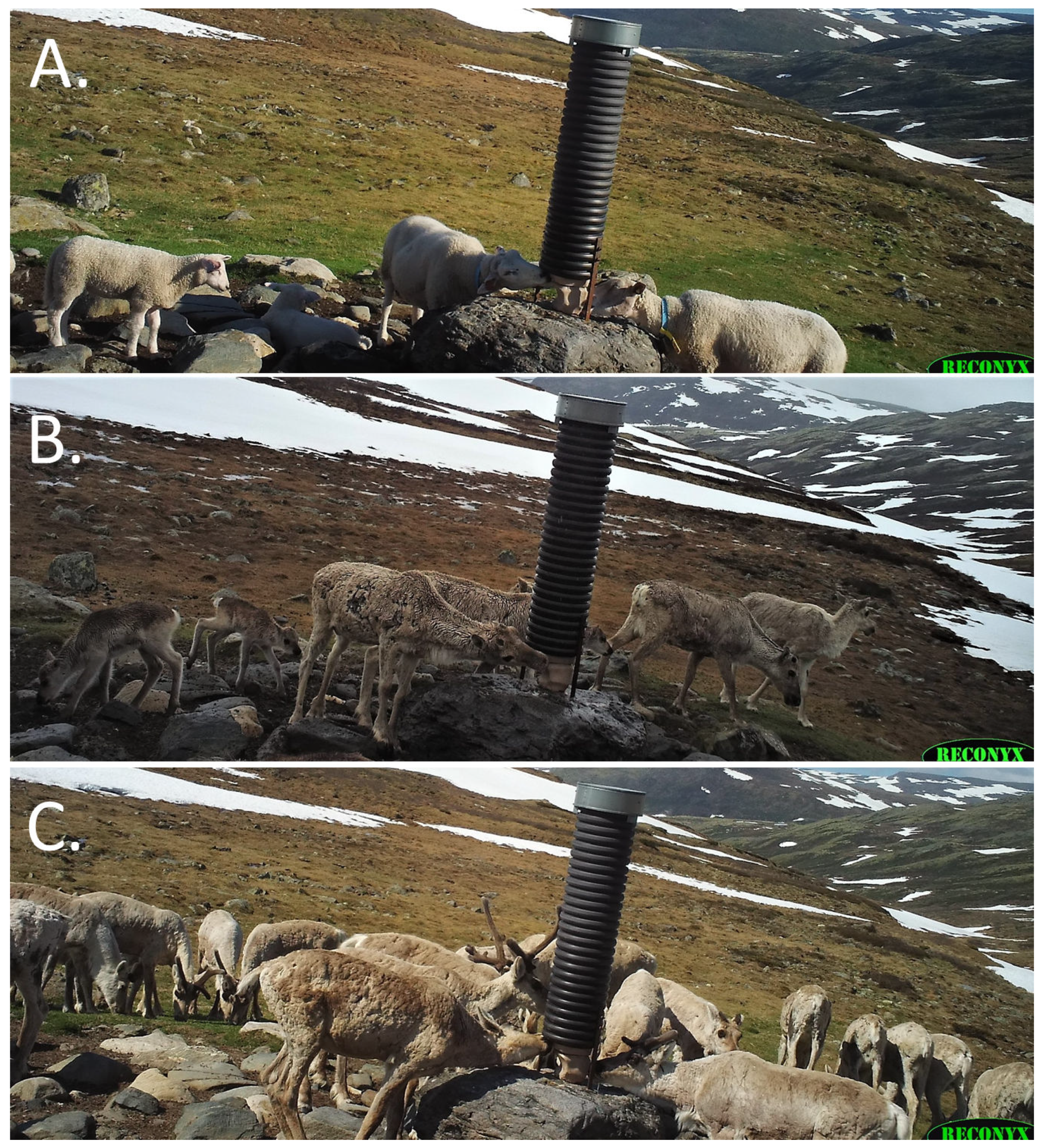 Pathogens 12 00186 g006