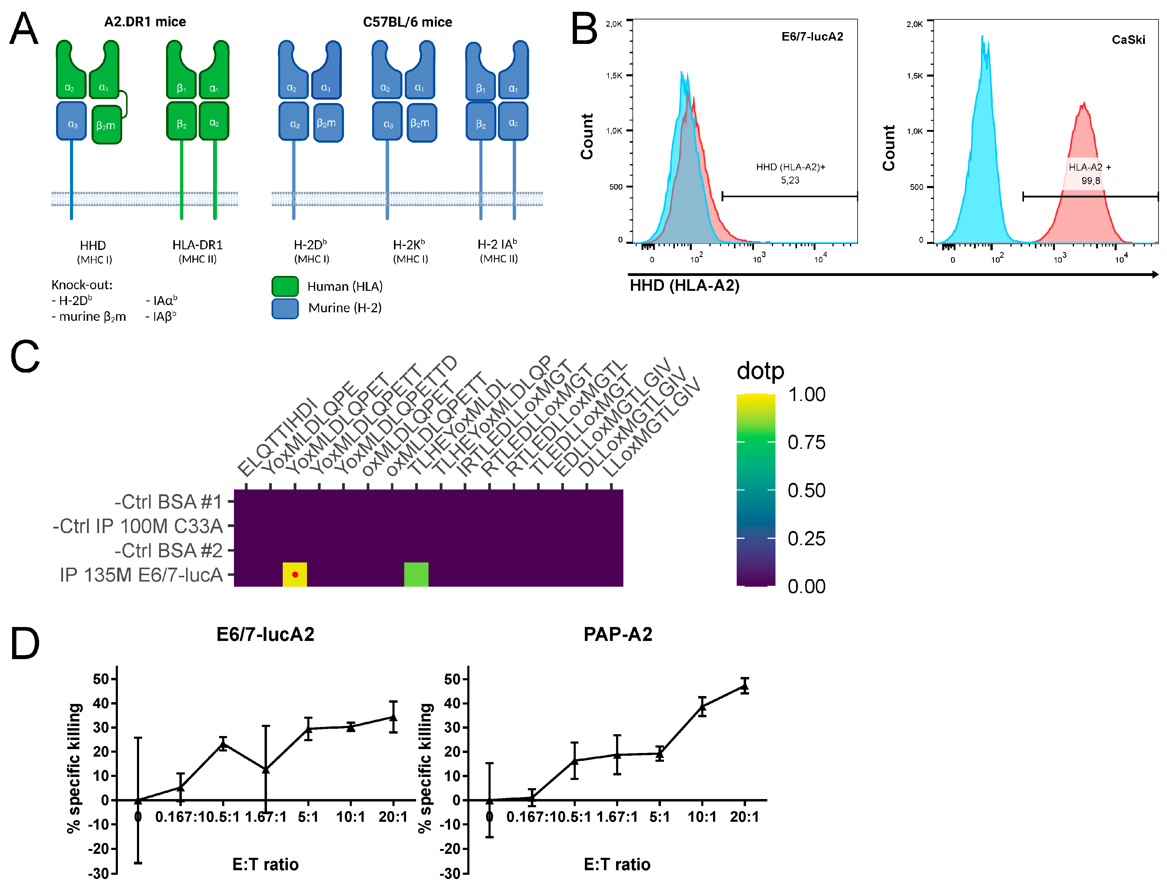 Pathogens 12 00188 g002 Pathogens 12 00188 g002