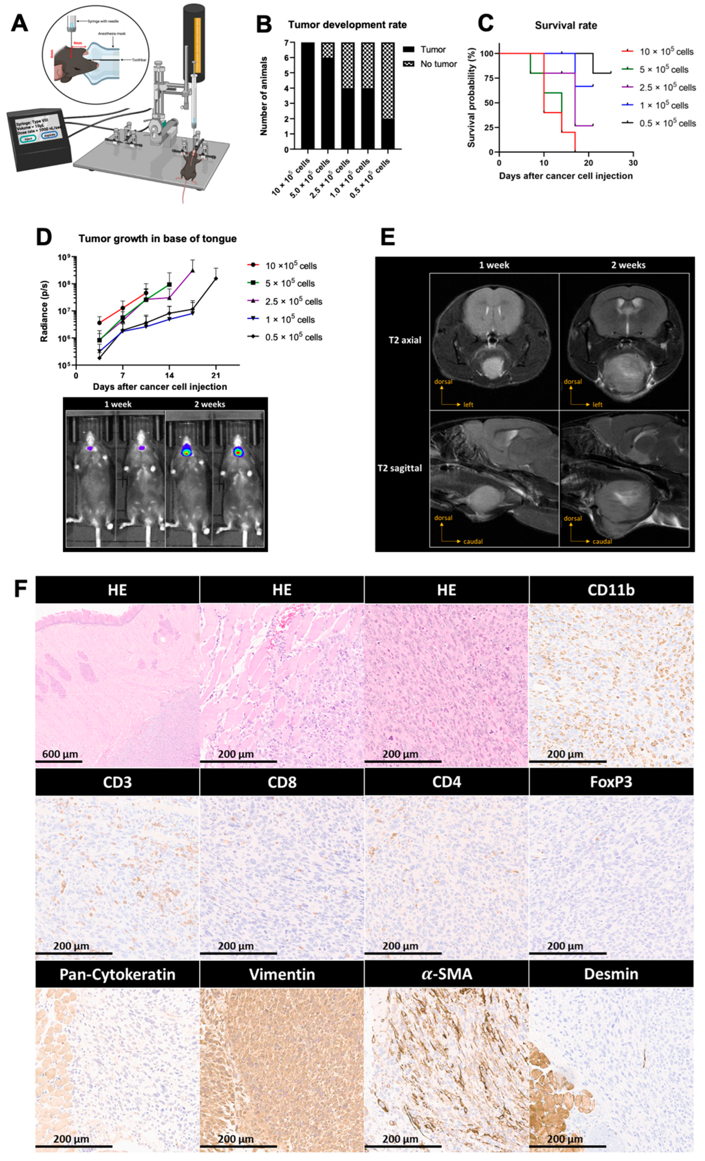 Pathogens 12 00188 g003 Pathogens 12 00188 g003