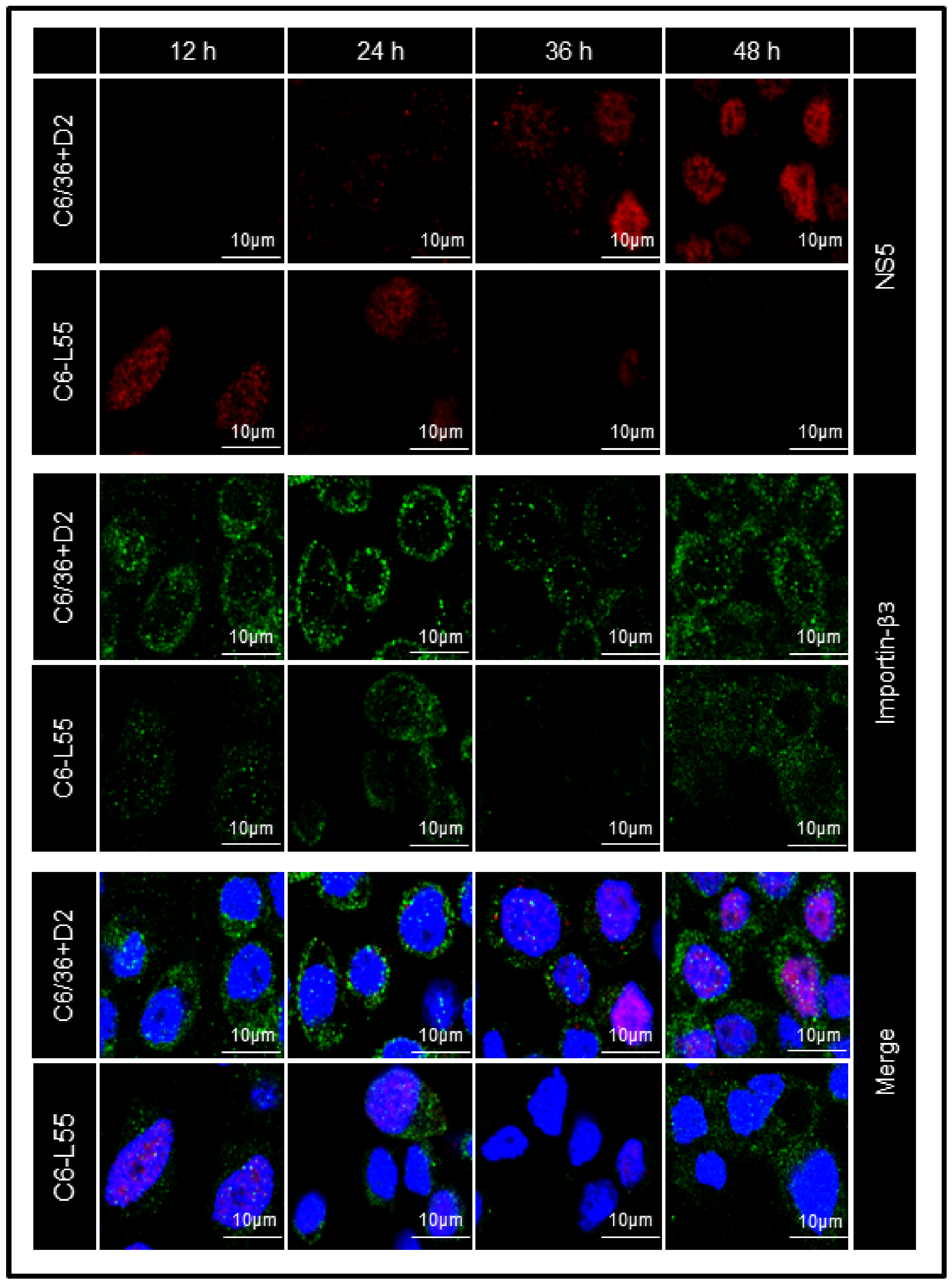 Pathogens 12 00191 g006