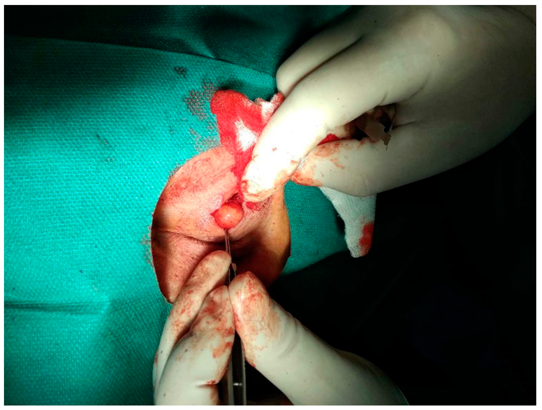 Pathogens 12 00196 g001