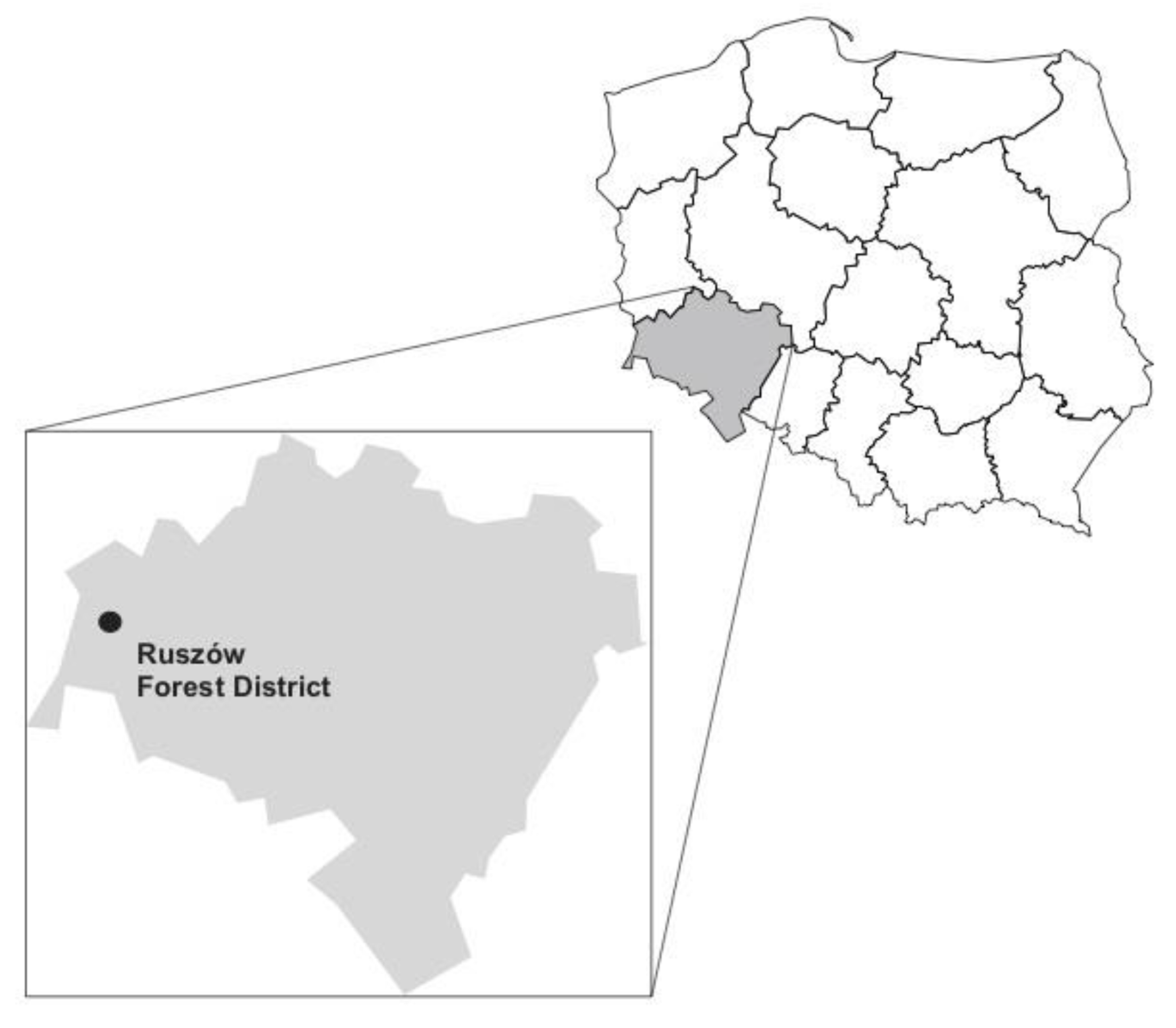 Pathogens 12 00198 g001