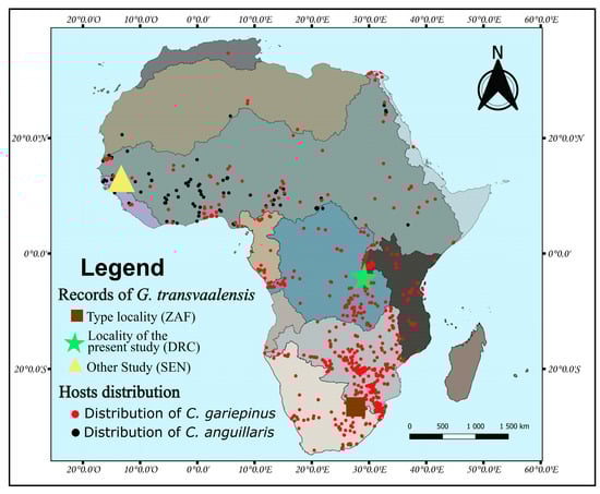 Pathogens 12 00200 g004