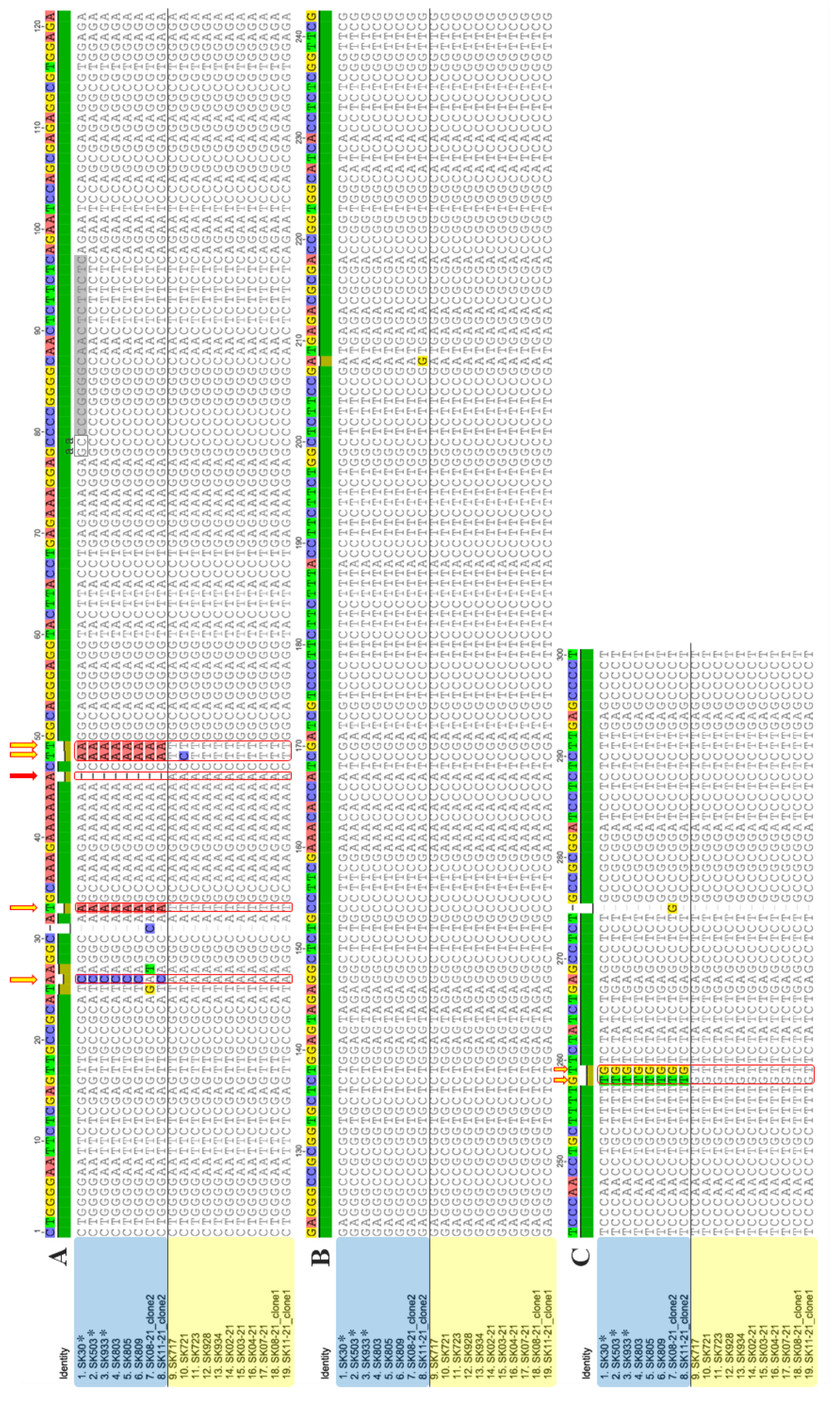 Pathogens 12 00205 g001 Pathogens 12 00205 g001