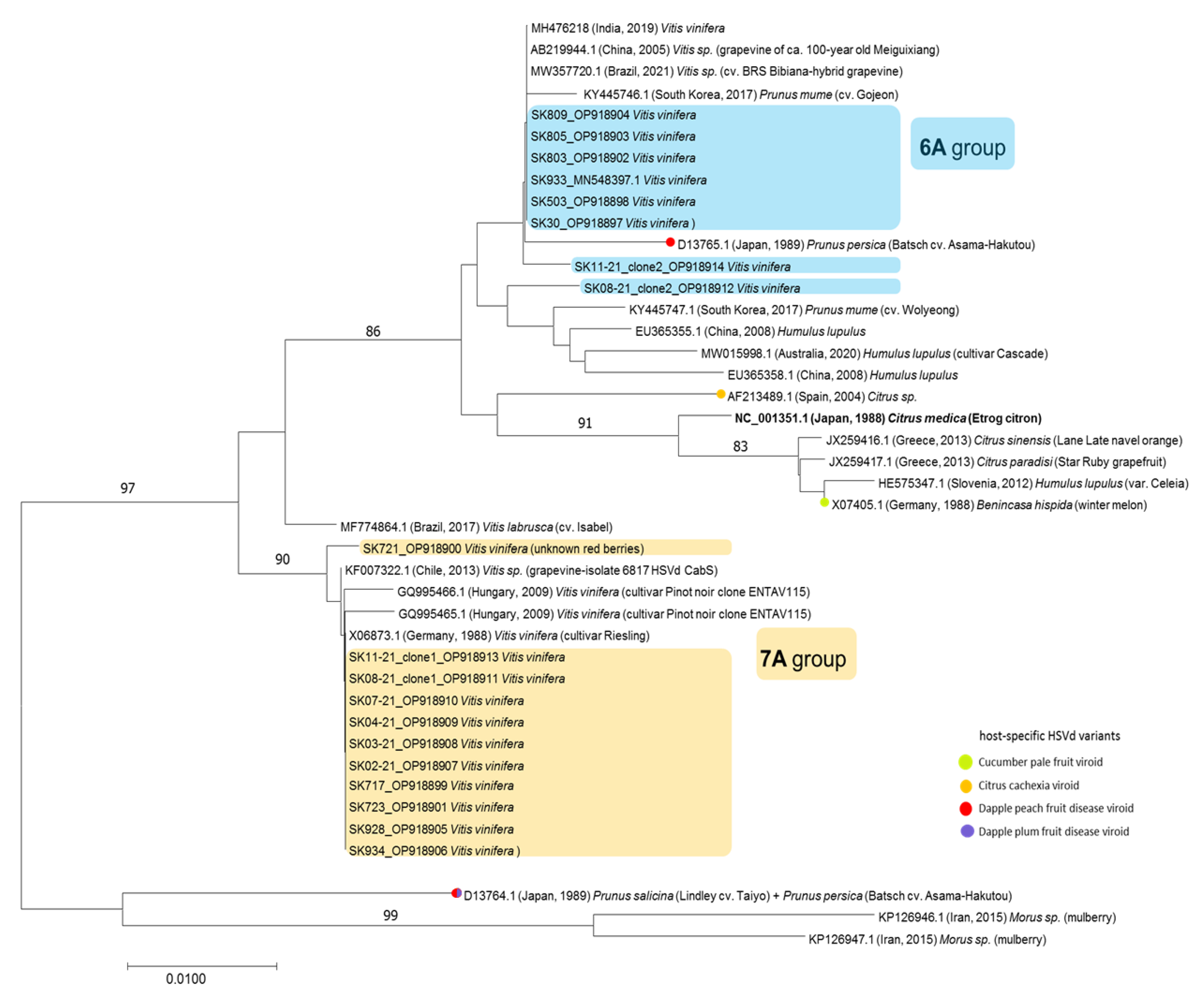 Pathogens 12 00205 g002 Pathogens 12 00205 g002