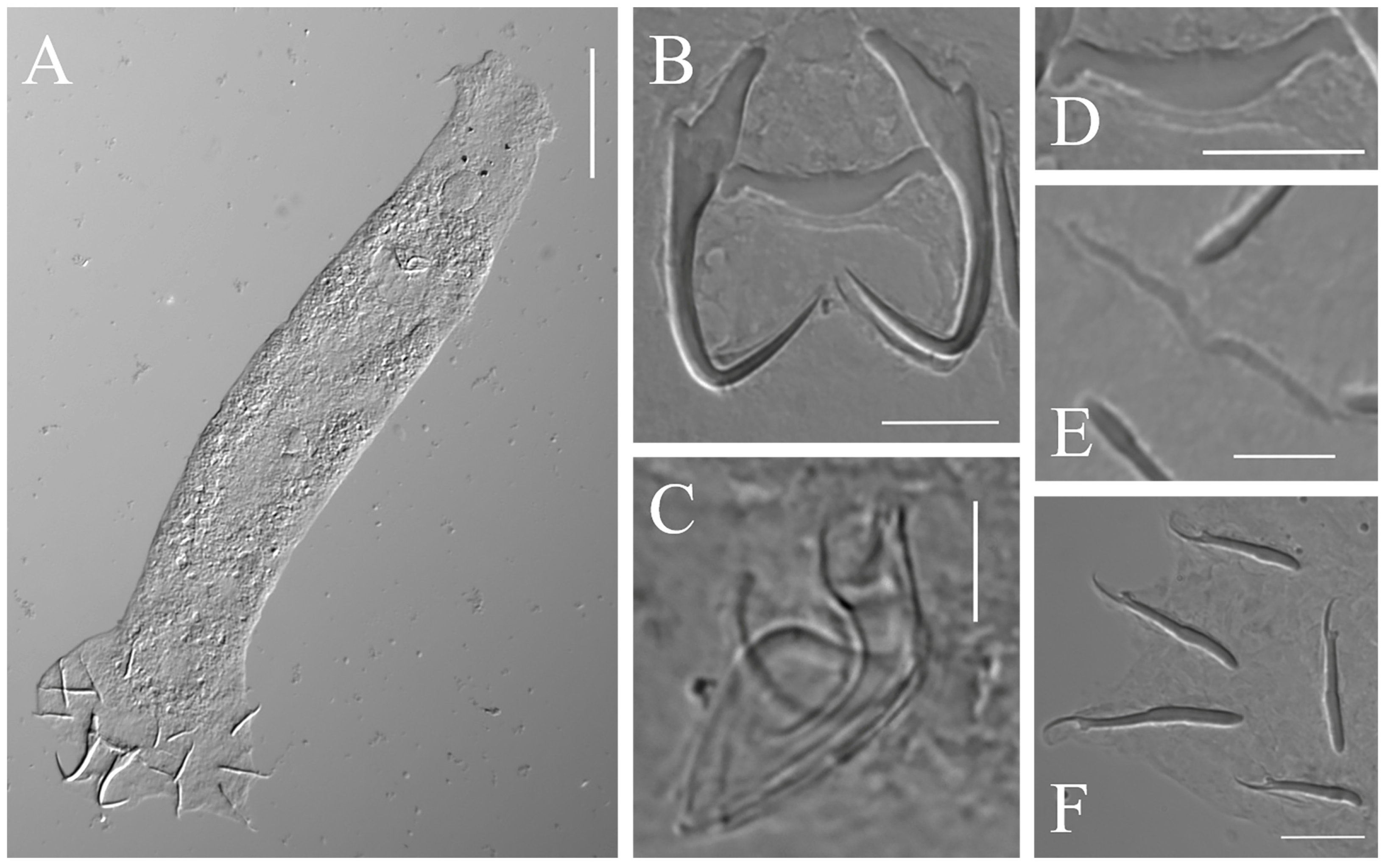 Pathogens 12 00206 g002