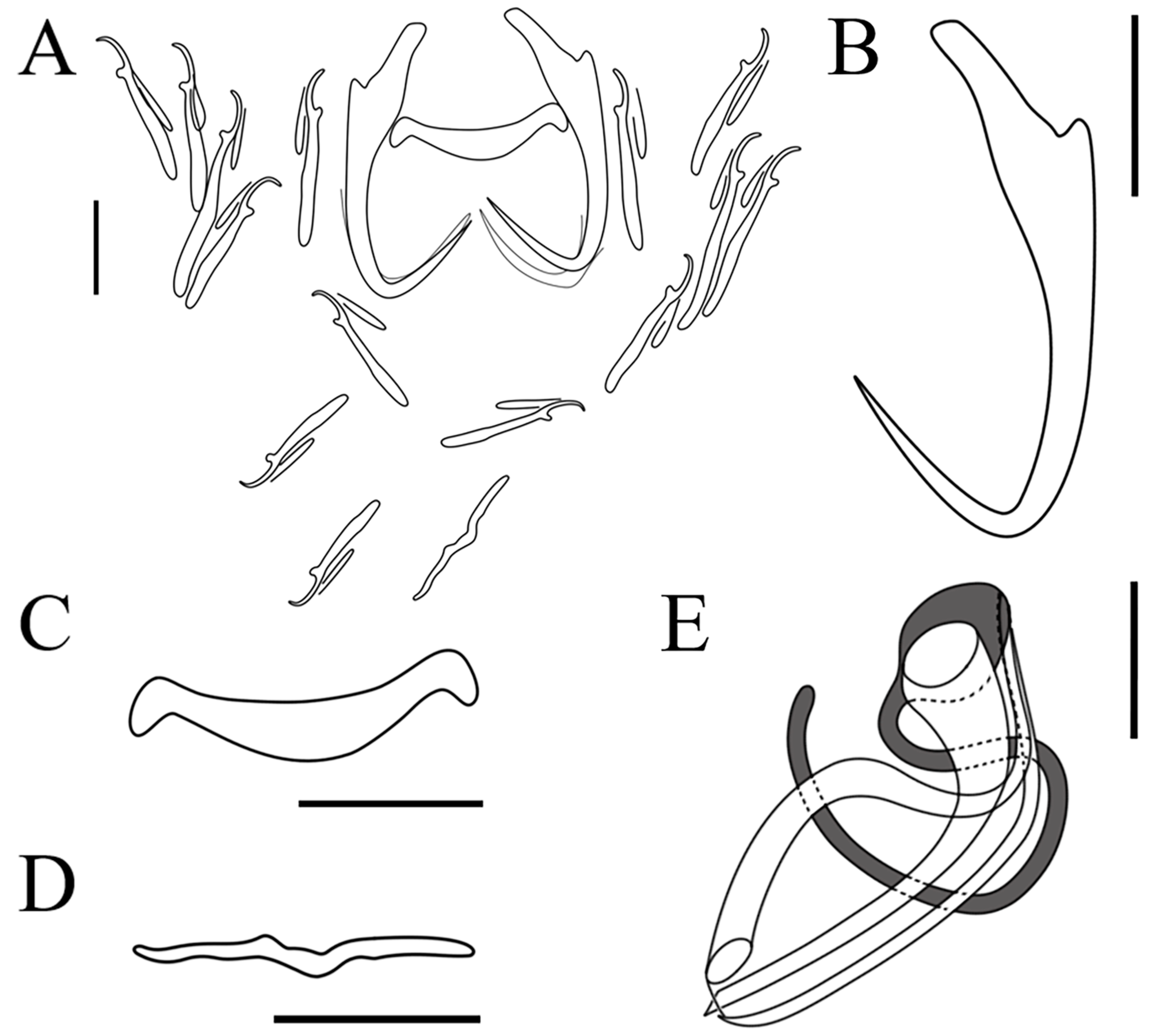 Pathogens 12 00206 g003