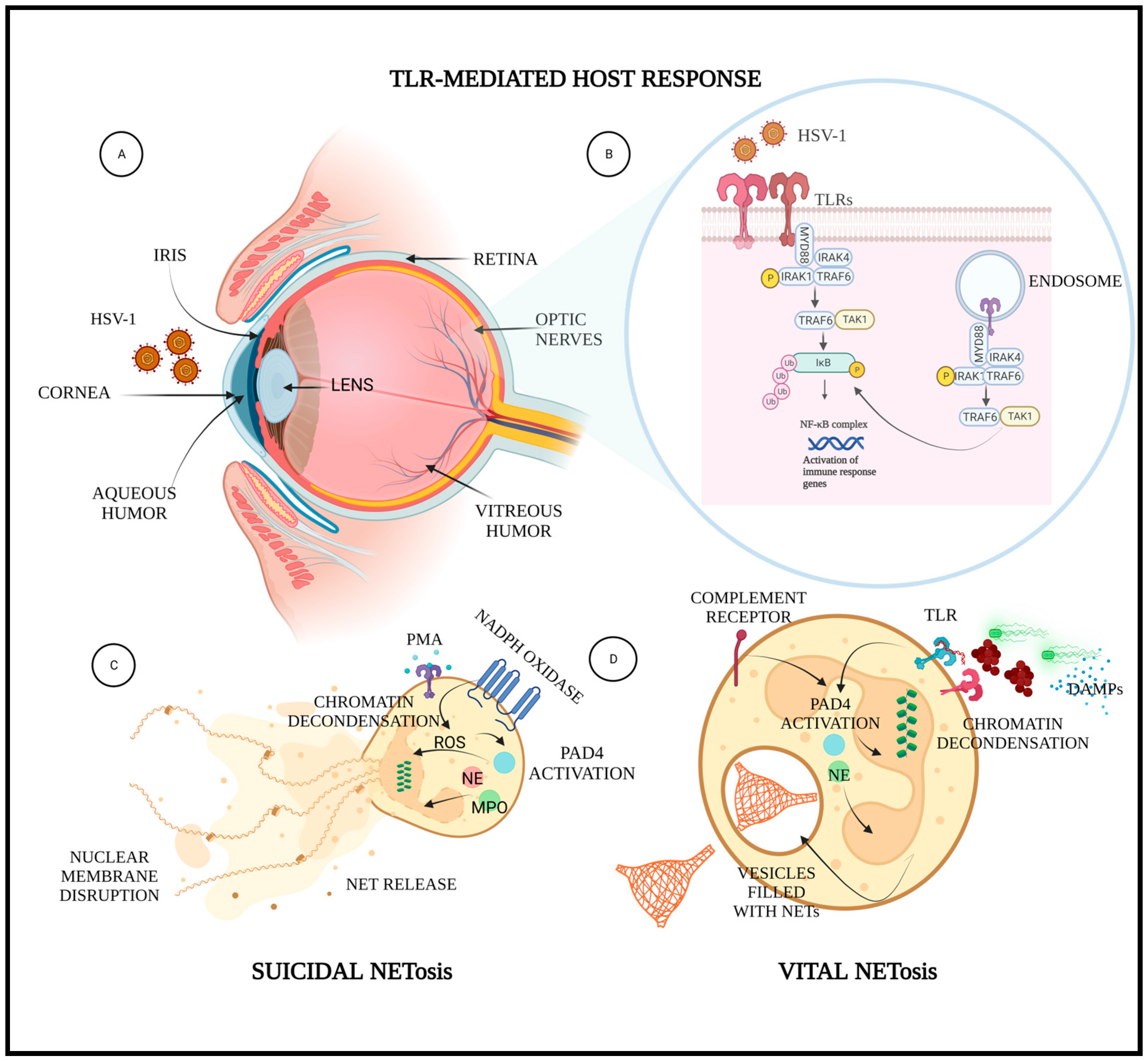 Pathogens 12 00209 g001