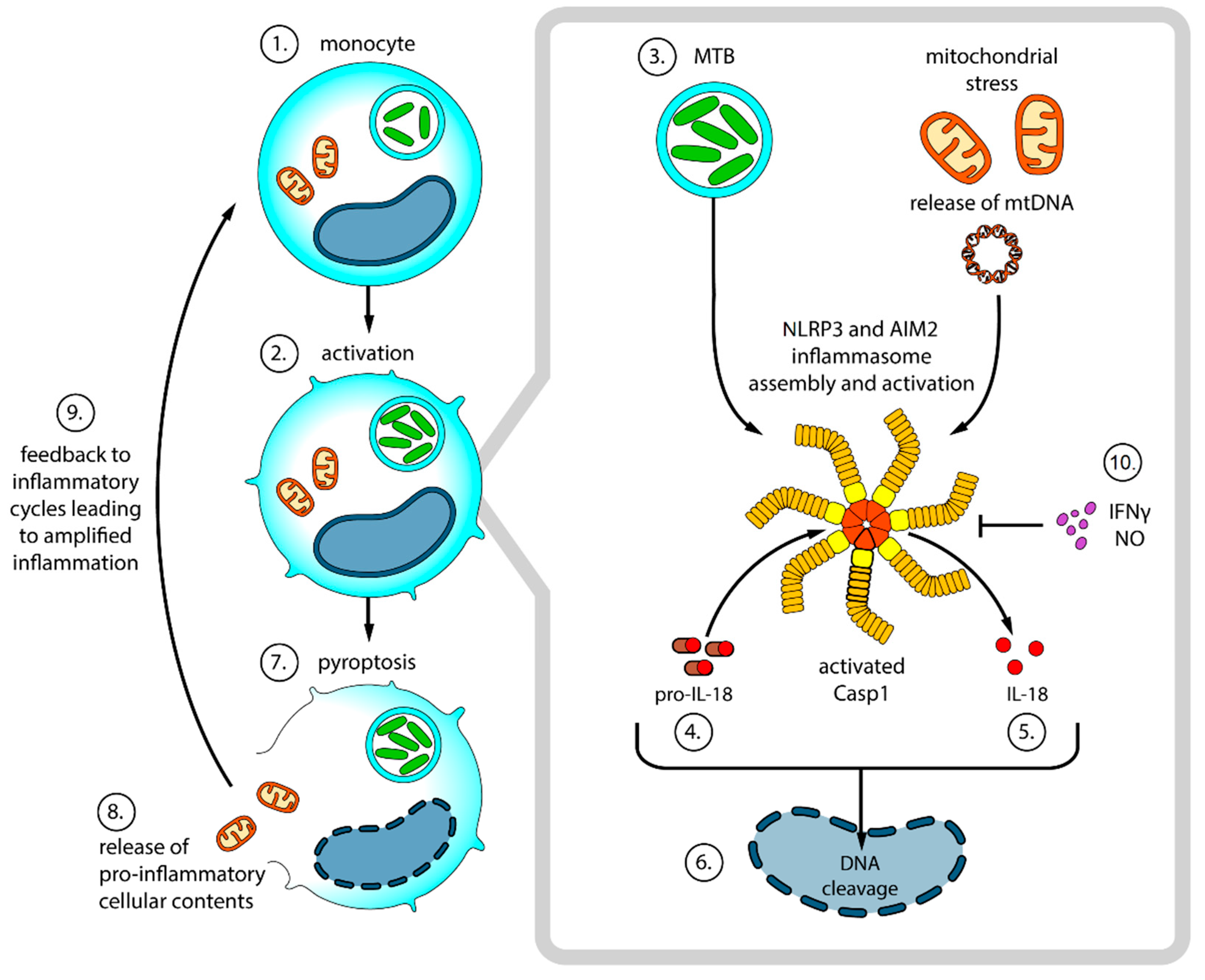Pathogens 12 00210 g002