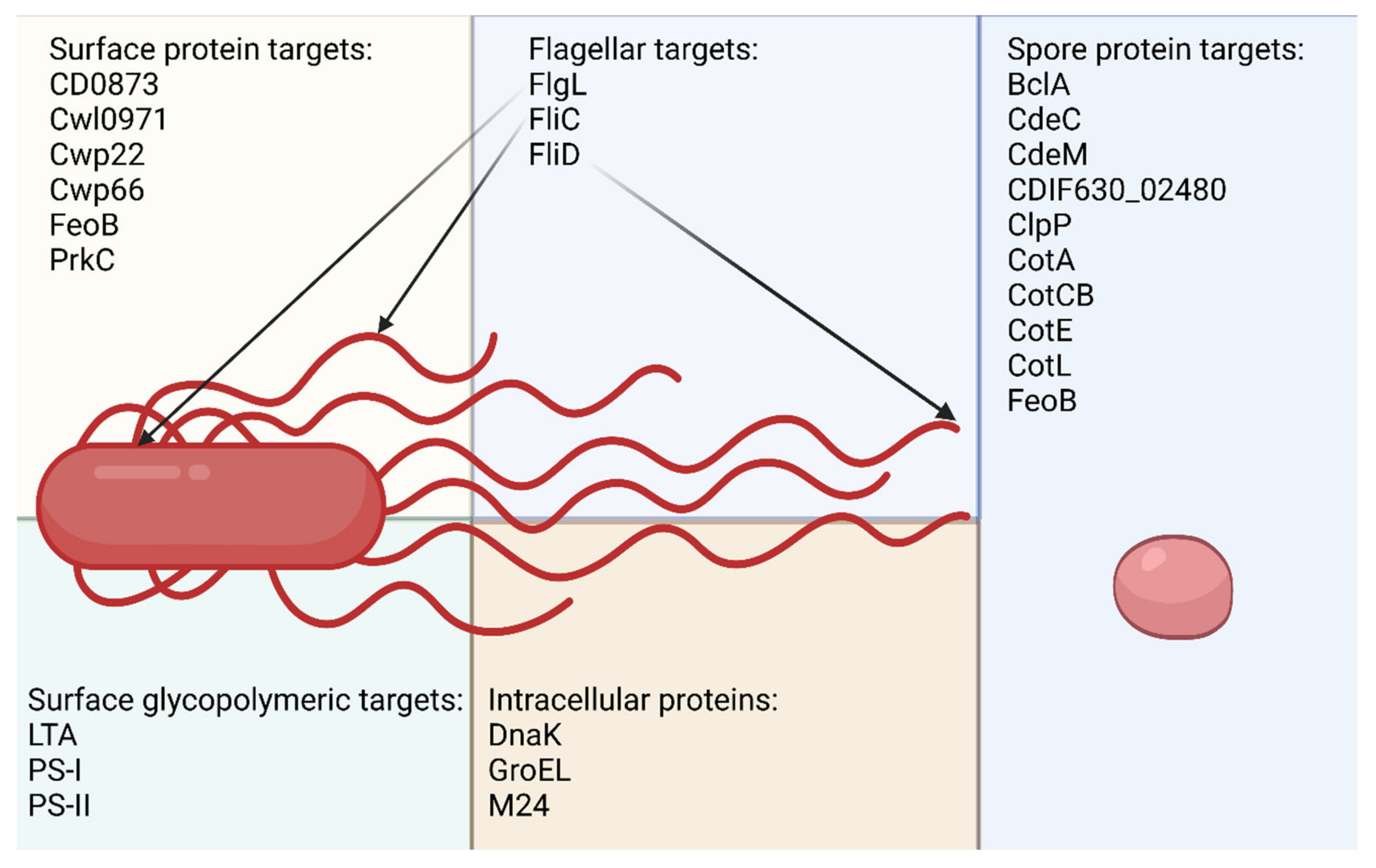 Pathogens 12 00235 g001