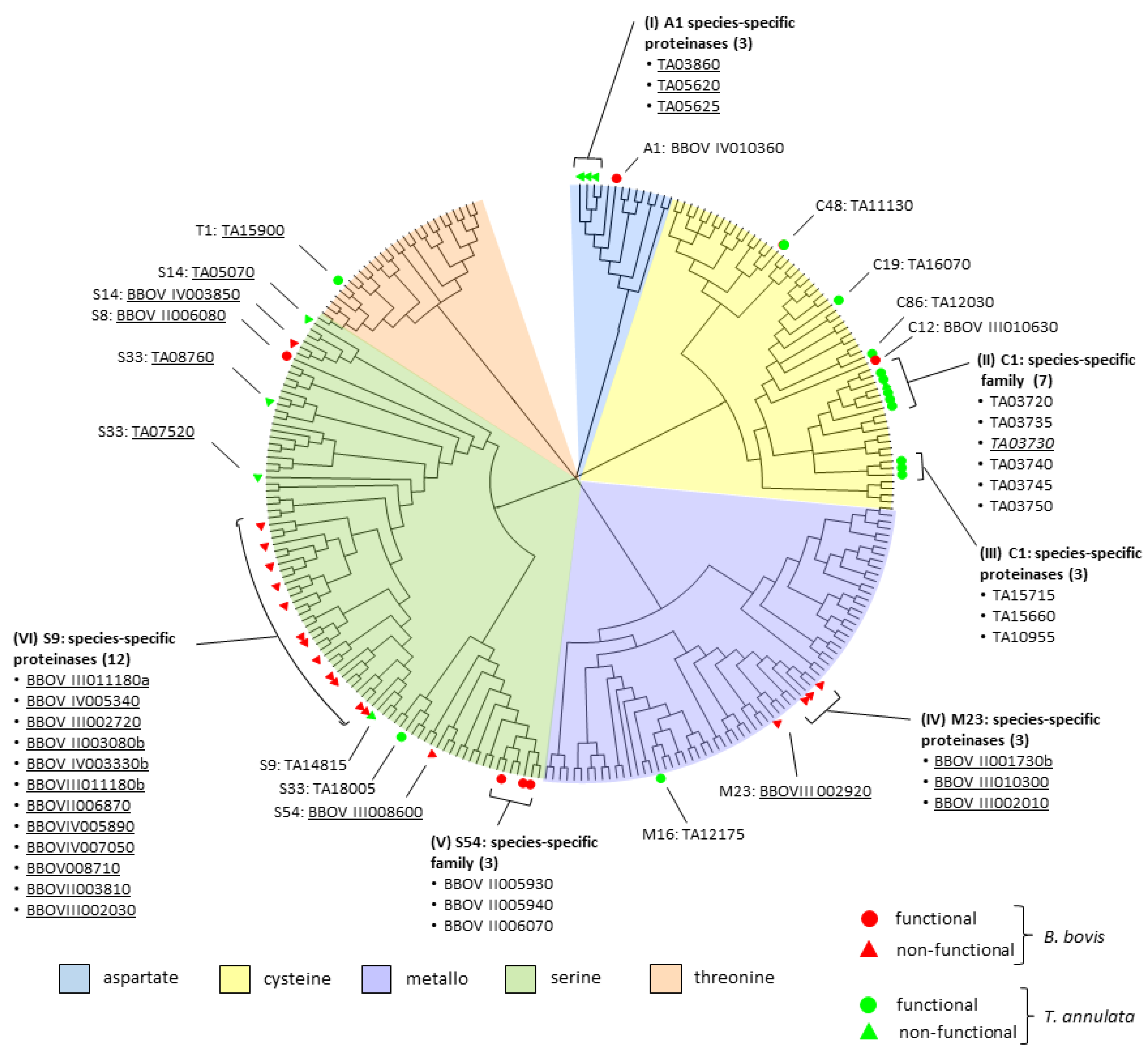Pathogens 12 00237 g001 Pathogens 12 00237 g001