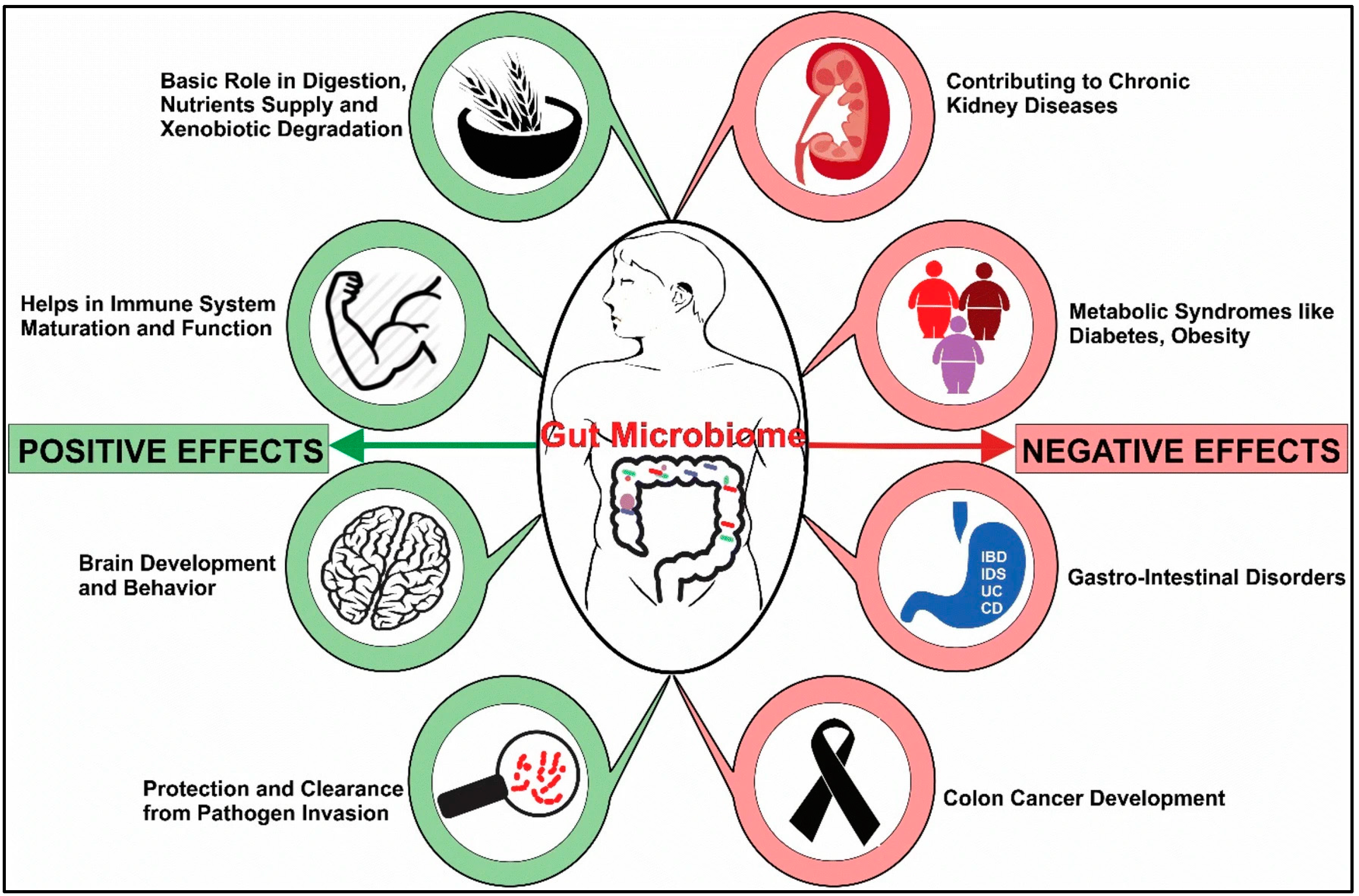 Pathogens 12 00238 g001