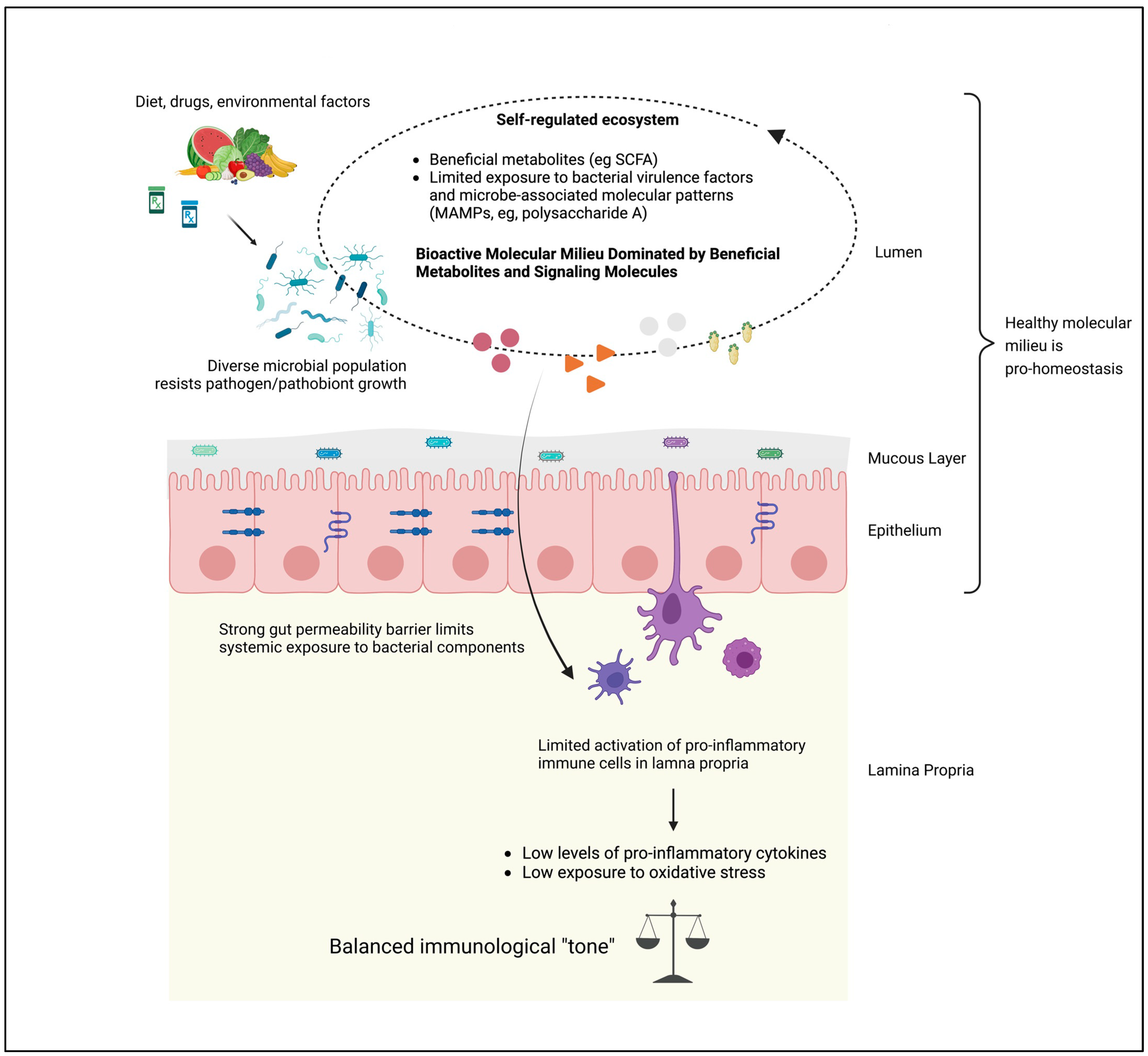 Pathogens 12 00238 g002