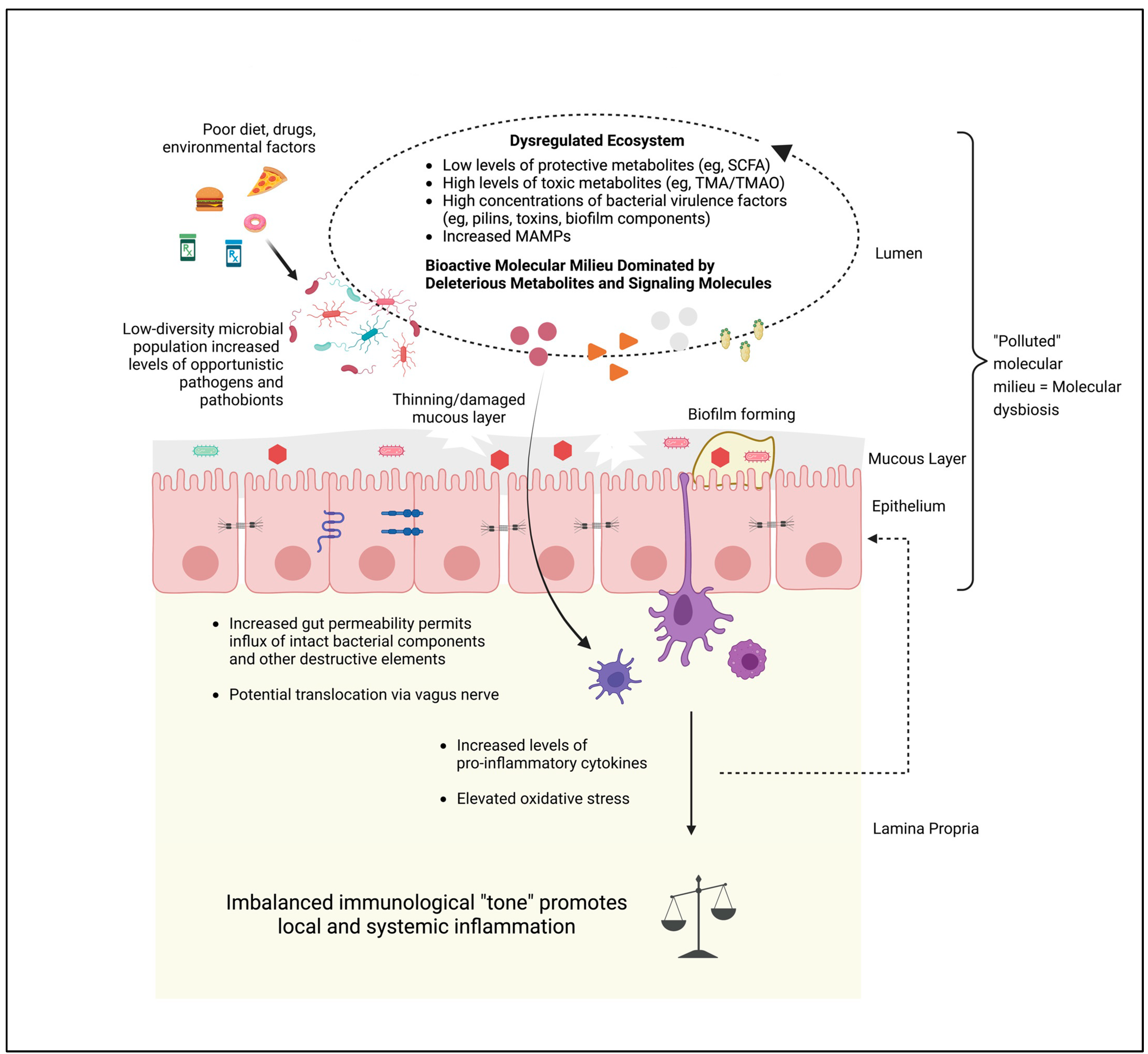 Pathogens 12 00238 g003